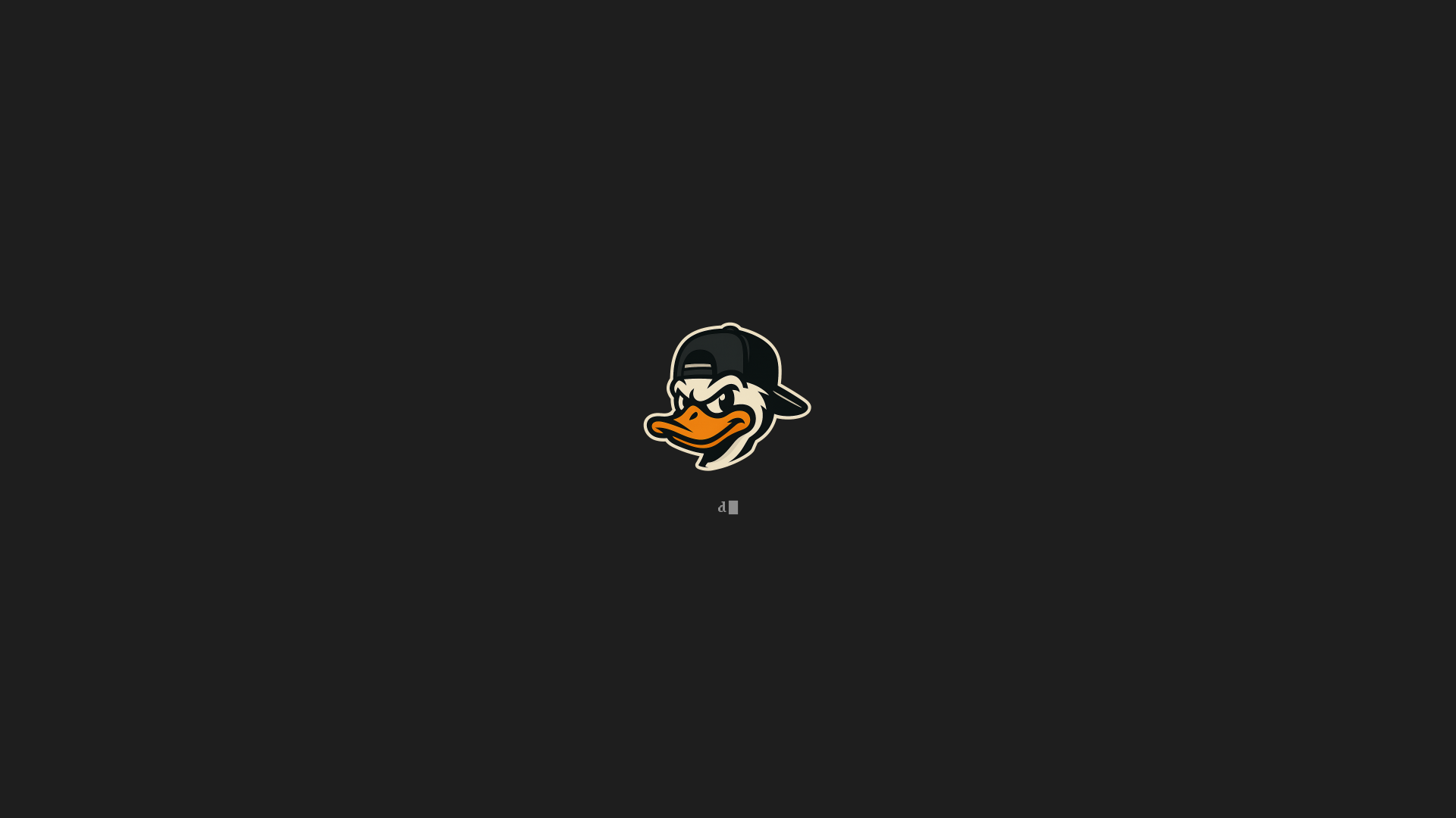website screenshot of https://ducky-se.pages.dev/