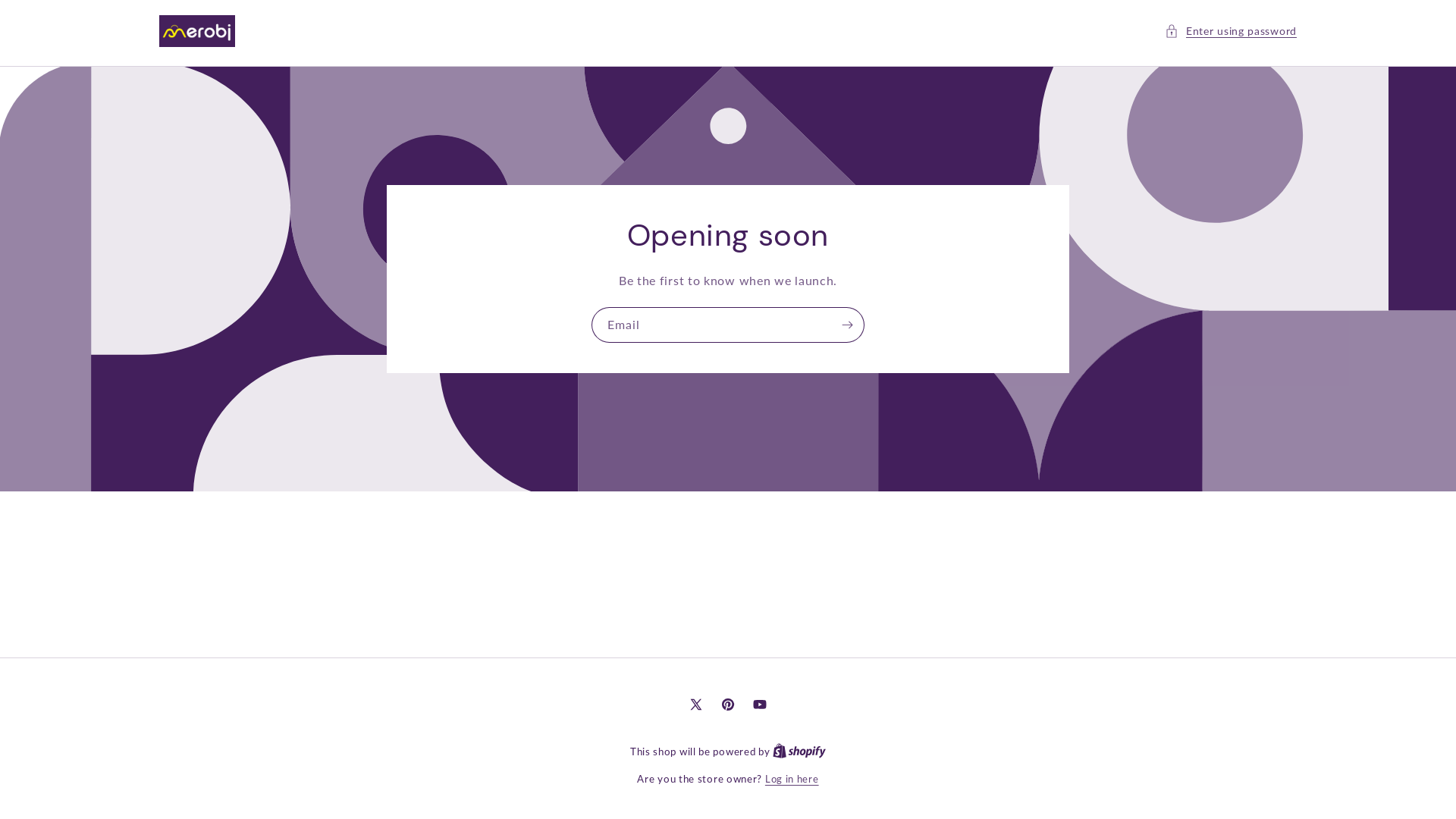website screenshot of https://merobi.com/