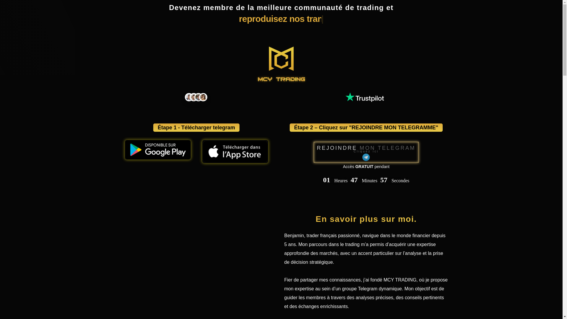 website screenshot of https://mcytrdfx.fr/