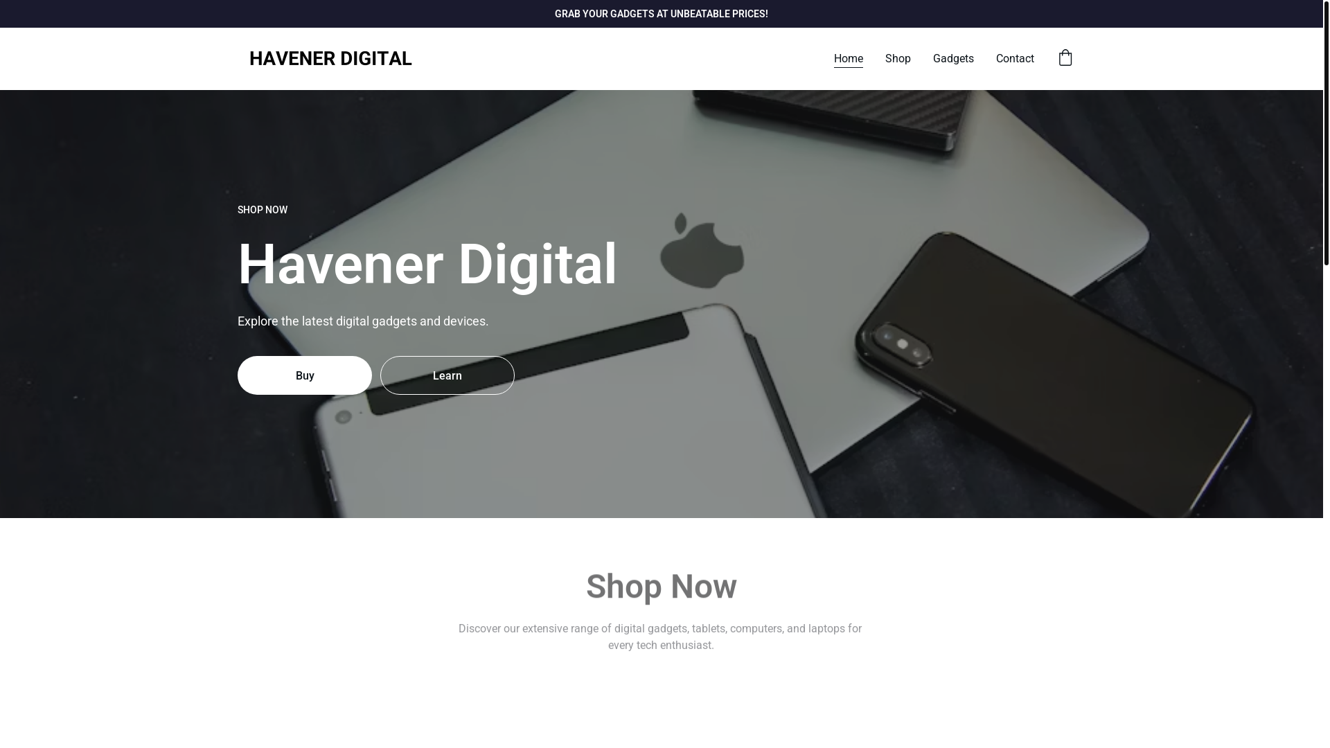 website screenshot of https://havener-digital.com/