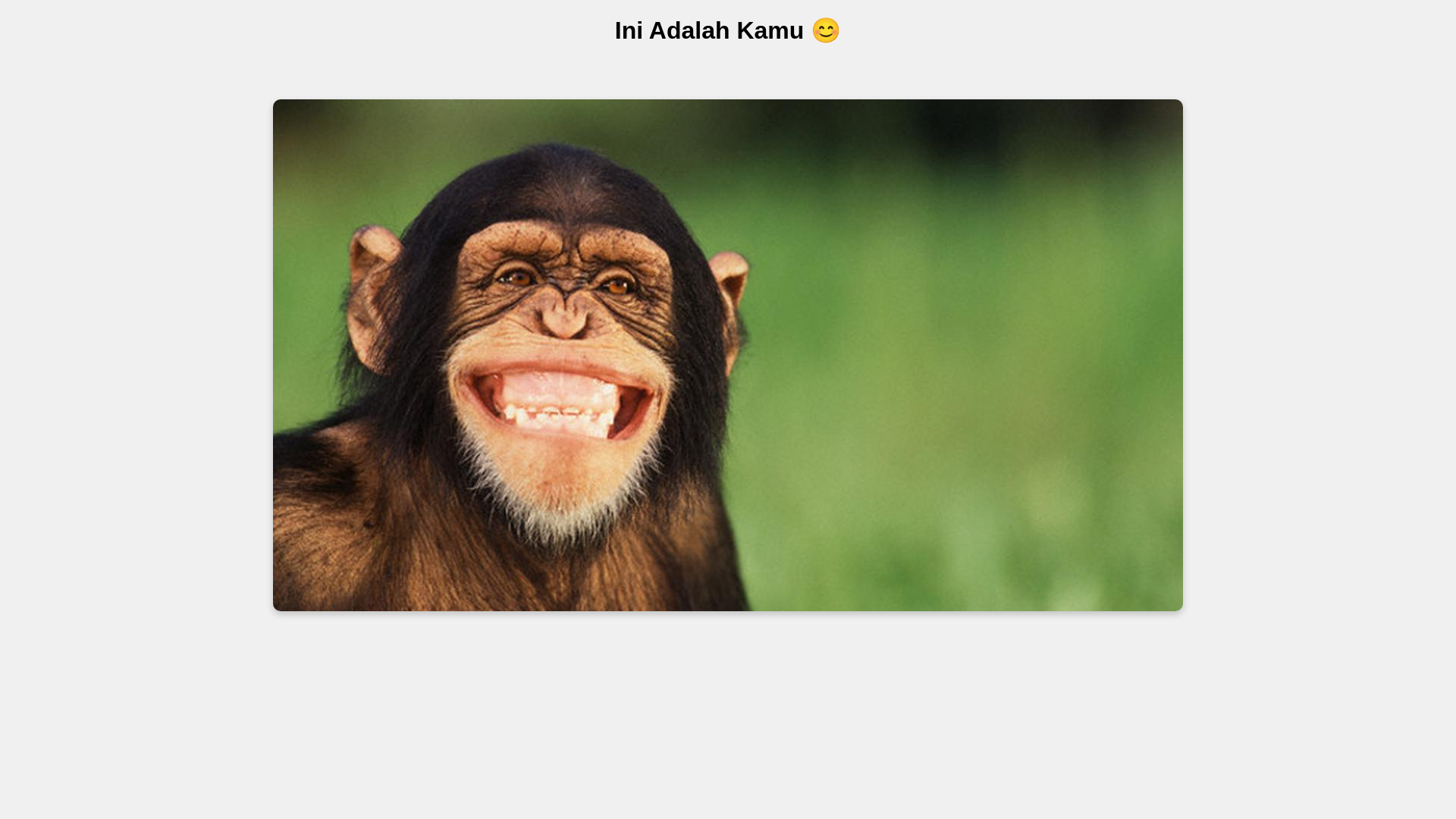 website screenshot of https://amp1-bulletin-socpolit-kaznpu.pages.dev/