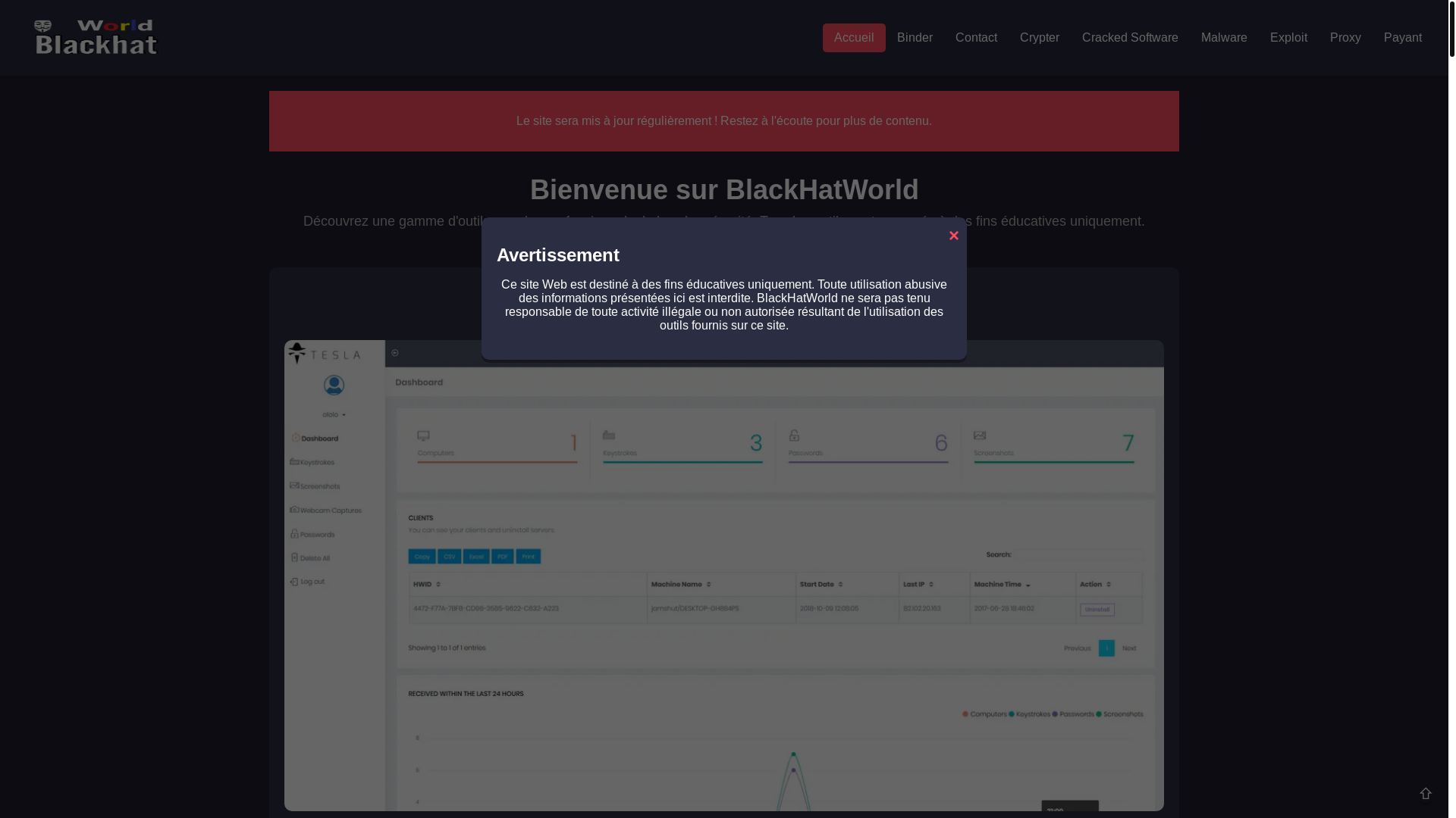 website screenshot of https://blackhat-world.shop/