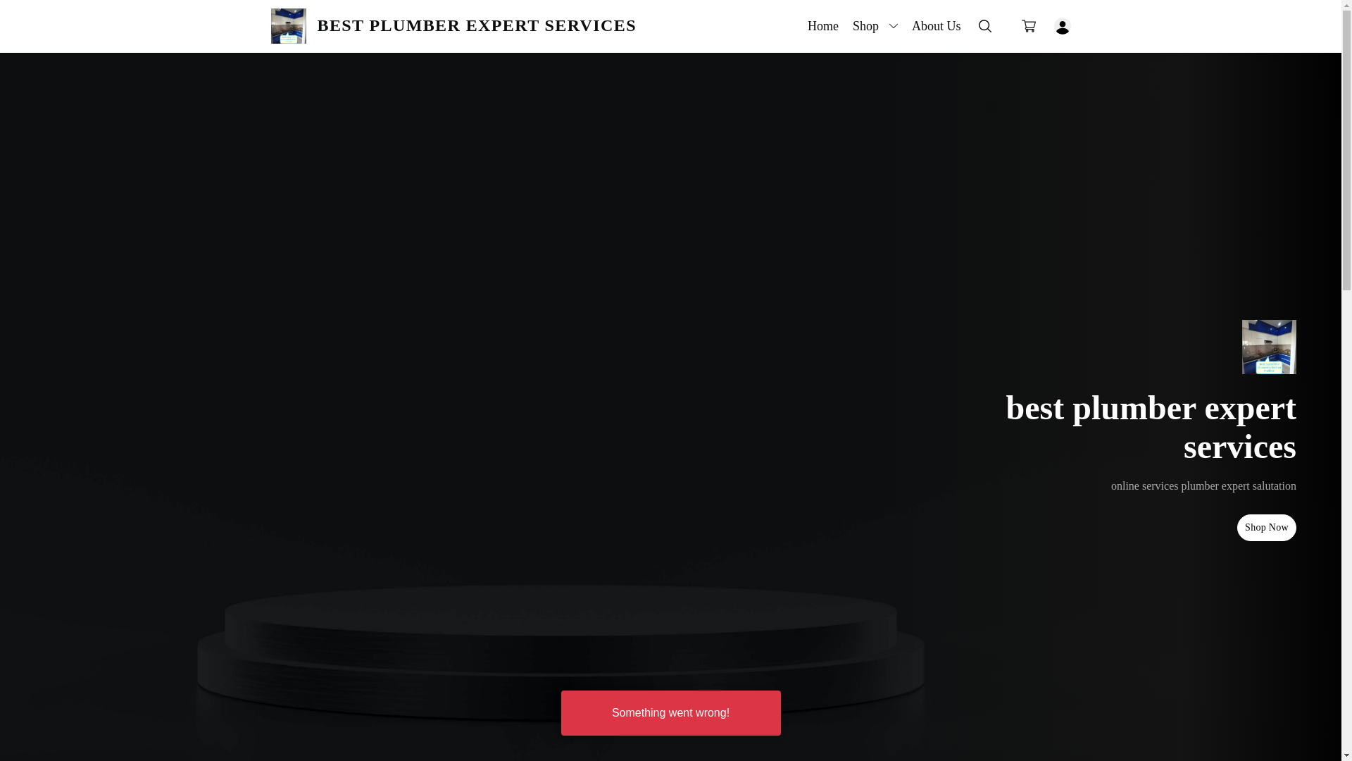 website screenshot of https://bestplumberexpertservices.top/