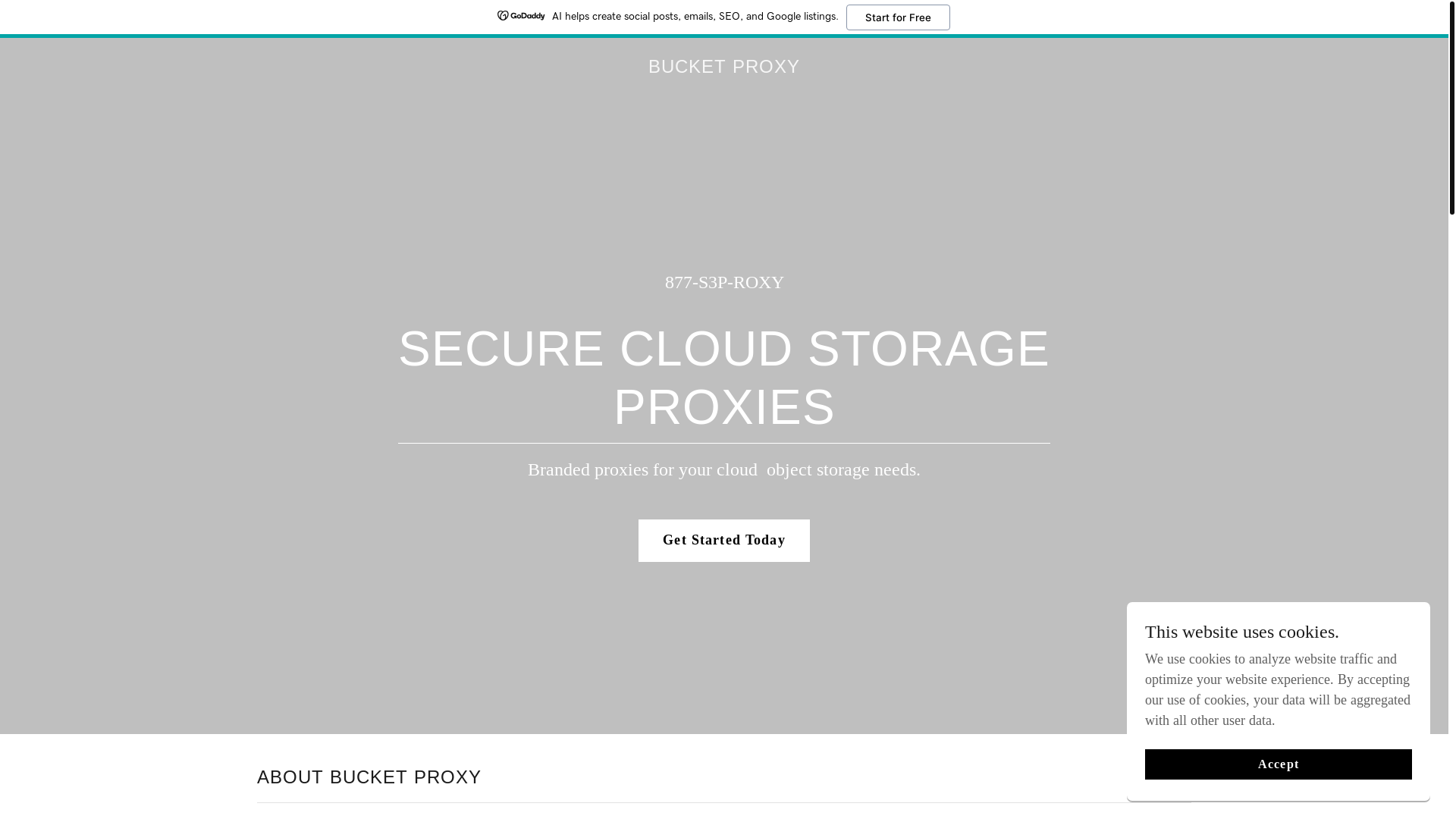 website screenshot of https://bucketproxy.com/