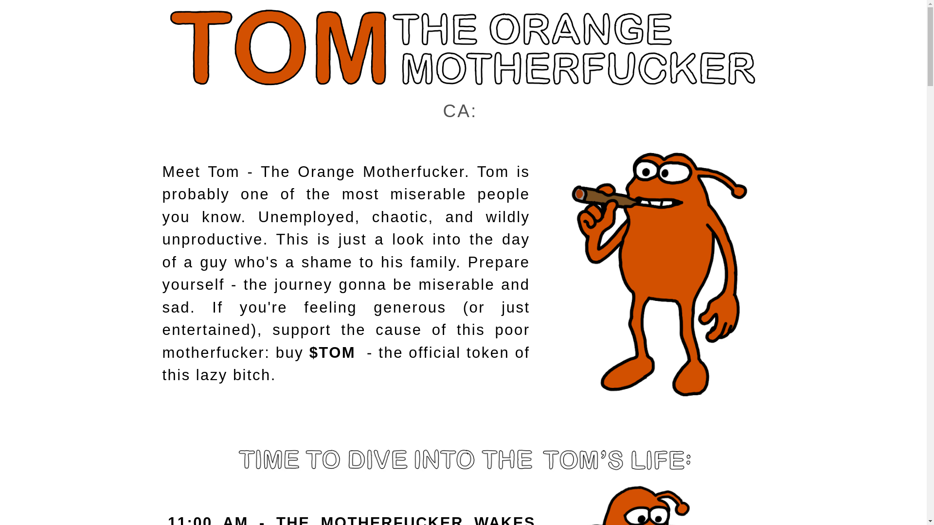website screenshot of https://orangetom.fun/