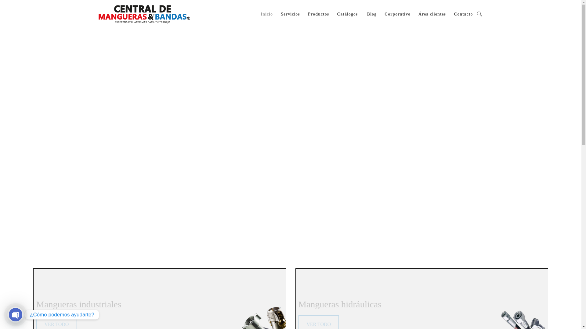 website screenshot of https://centralldemanguelnaiiea.online/