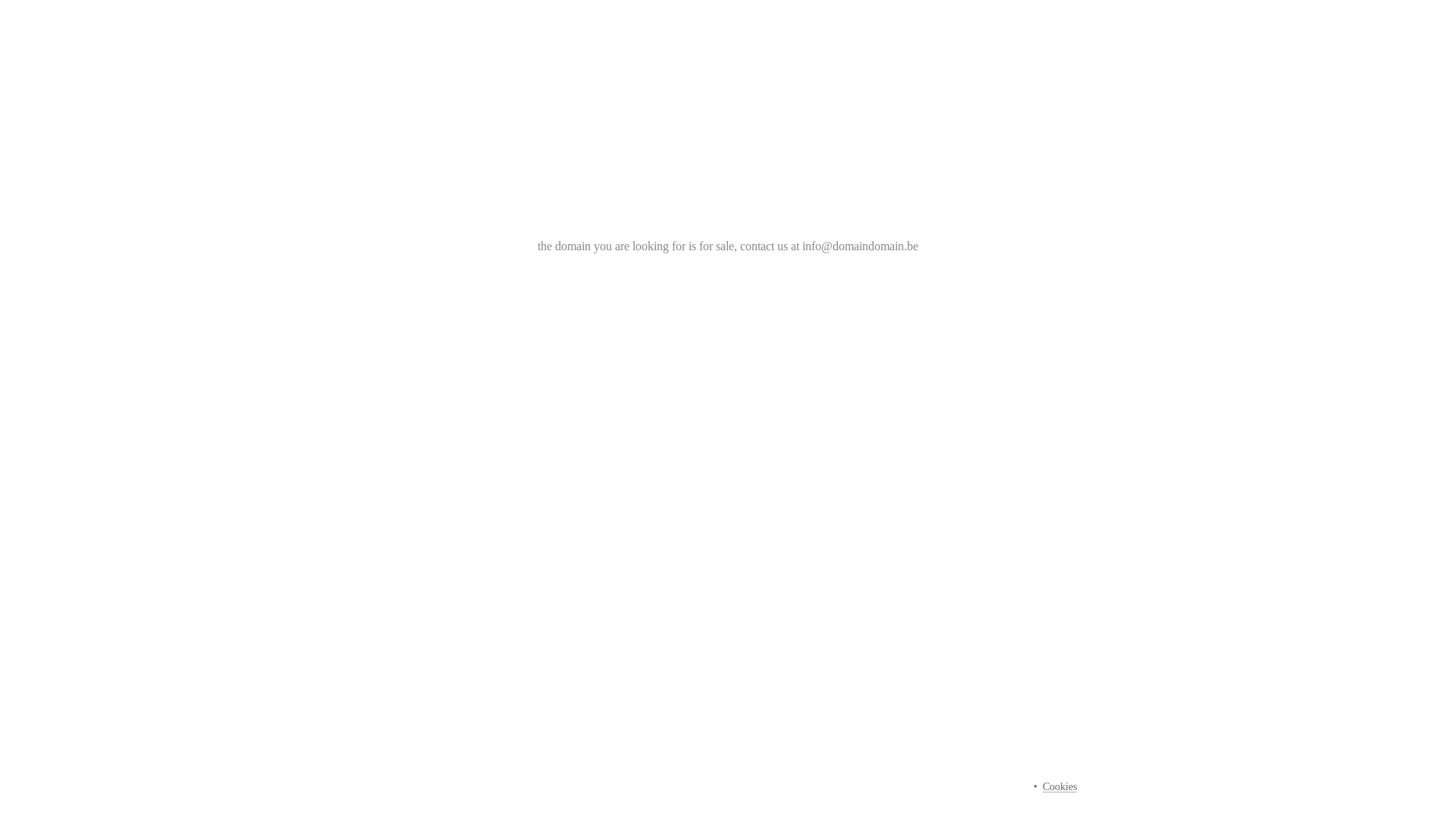 website screenshot of https://domaindomain.be/
