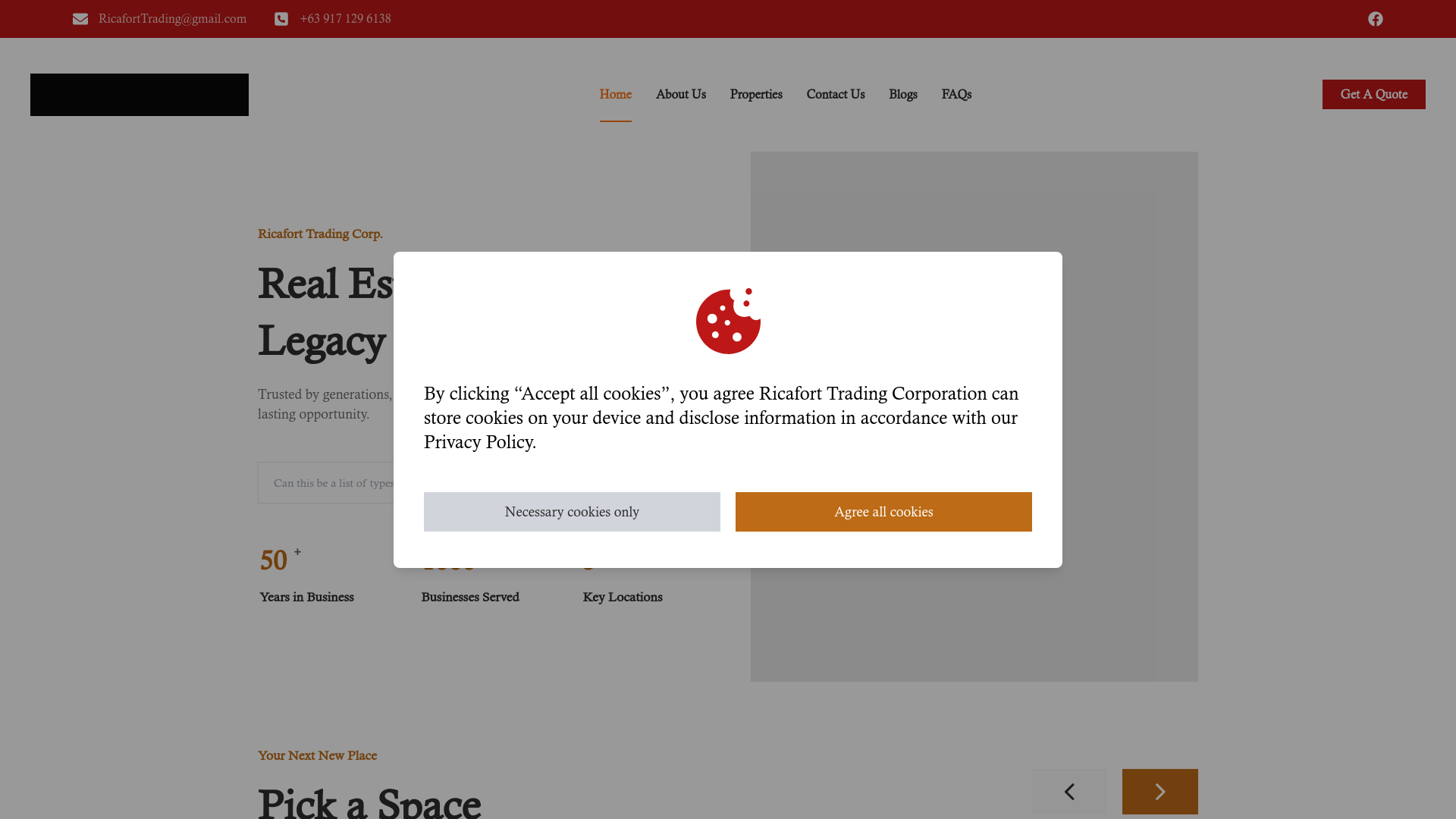 website screenshot of https://ricafort.com.ph/