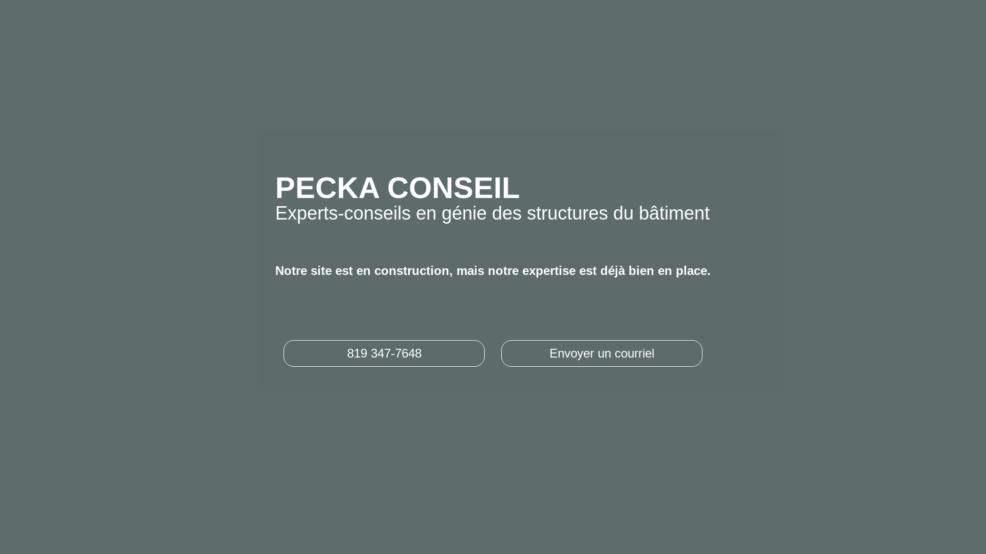 website screenshot of https://peckaconseil.com/