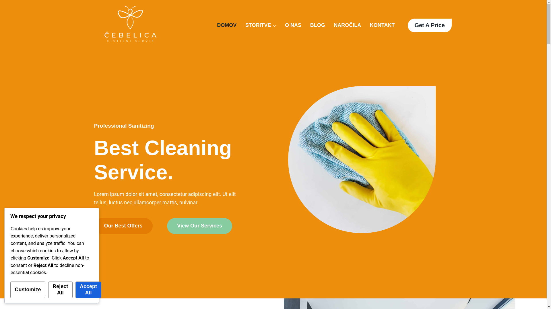 website screenshot of https://cistilniserviscebelica.si/