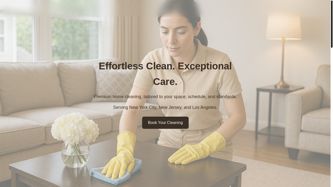 website screenshot of https://cleanly.group/