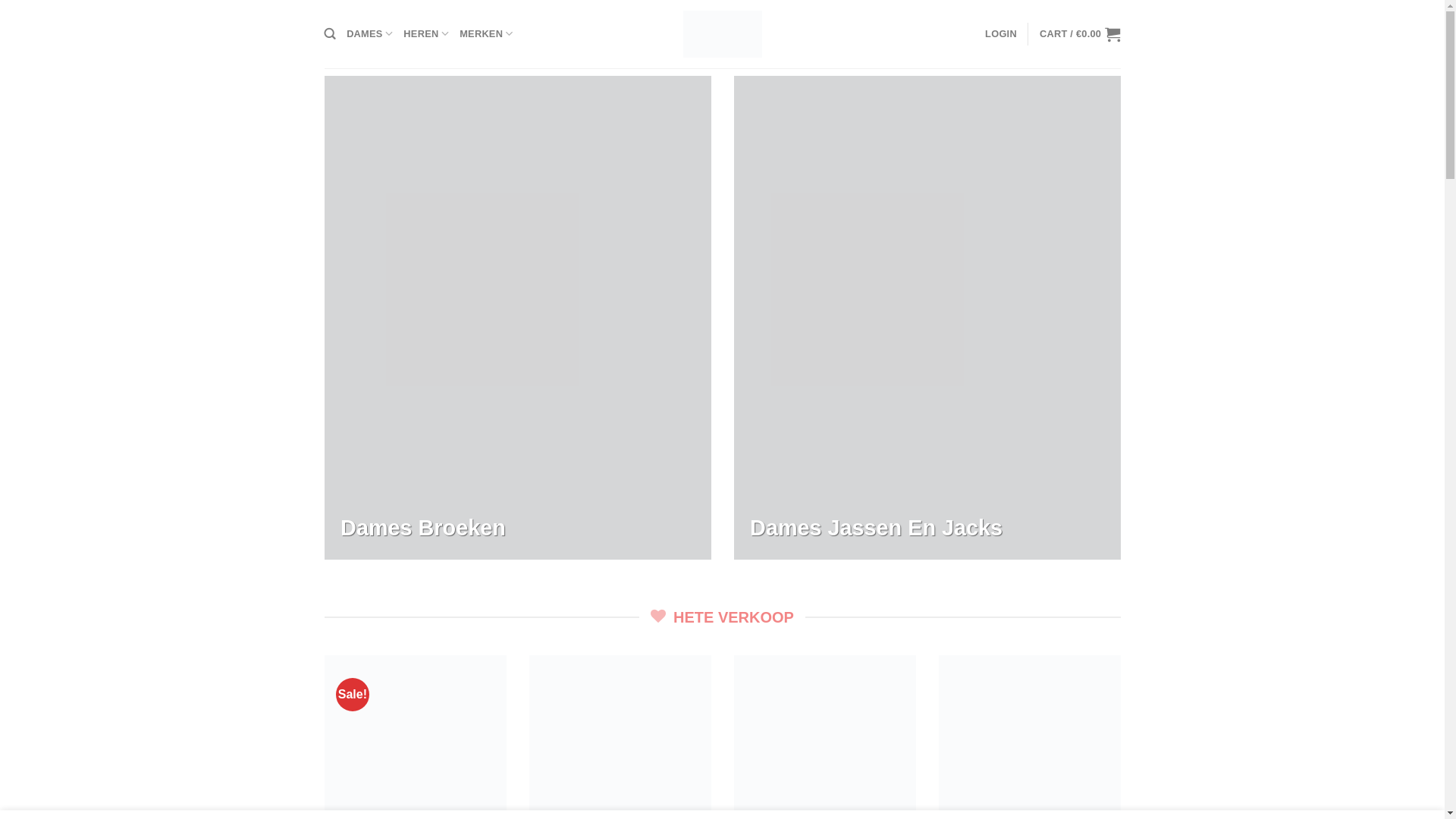 website screenshot of https://vanblijdesteijn.com/