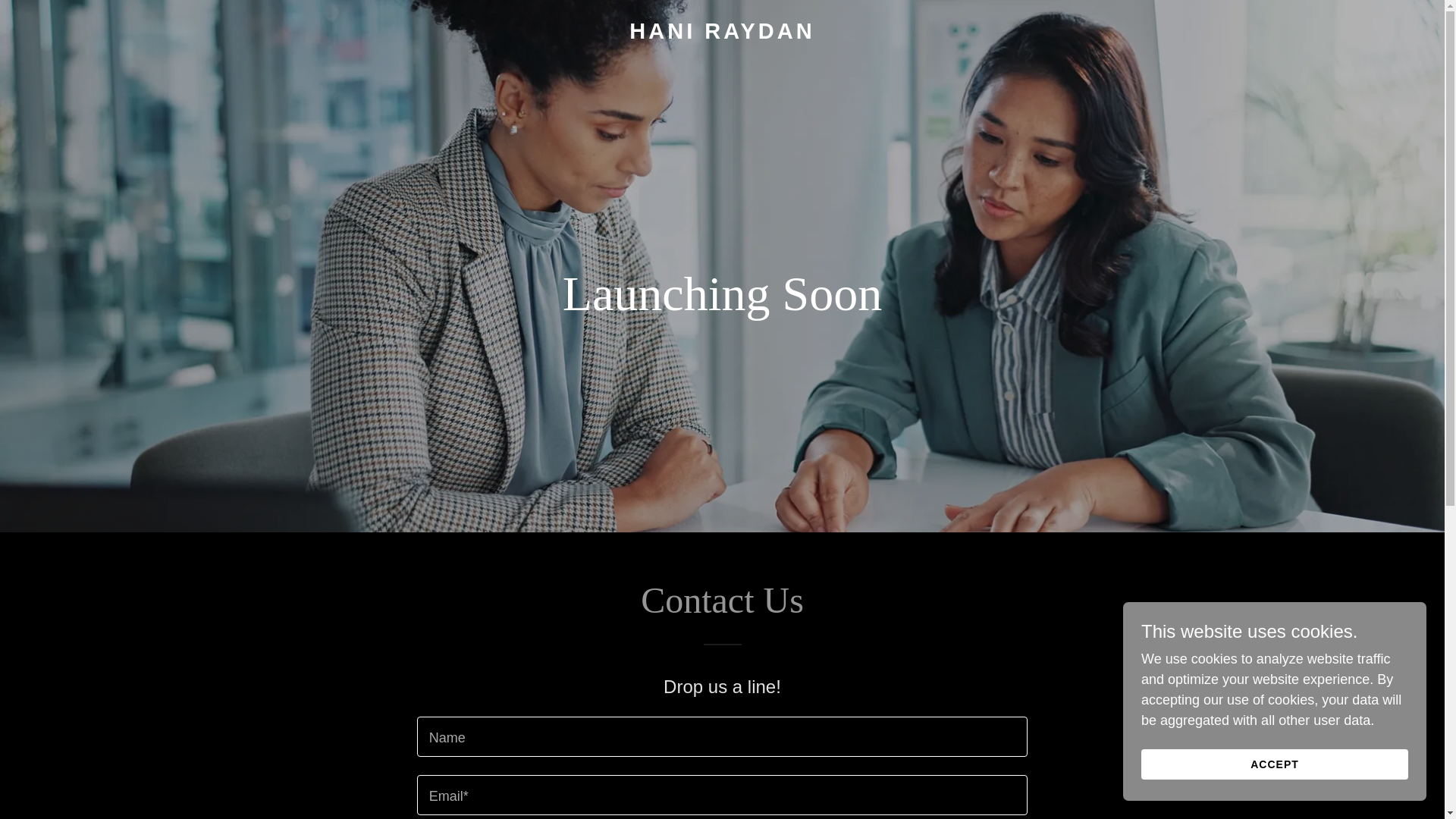 website screenshot of https://haniraydan.com/