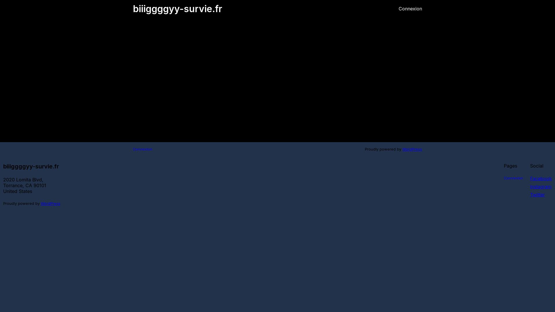 website screenshot of https://biiiggggyy-survie.fr/