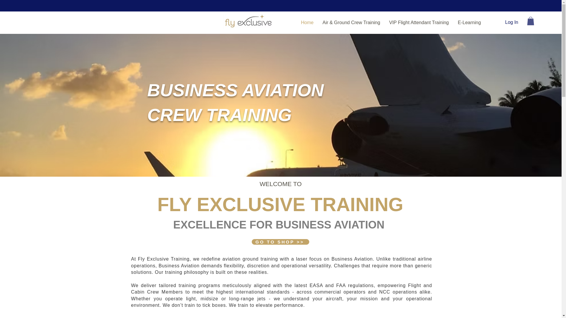 website screenshot of https://fly-exclusive-training.com/