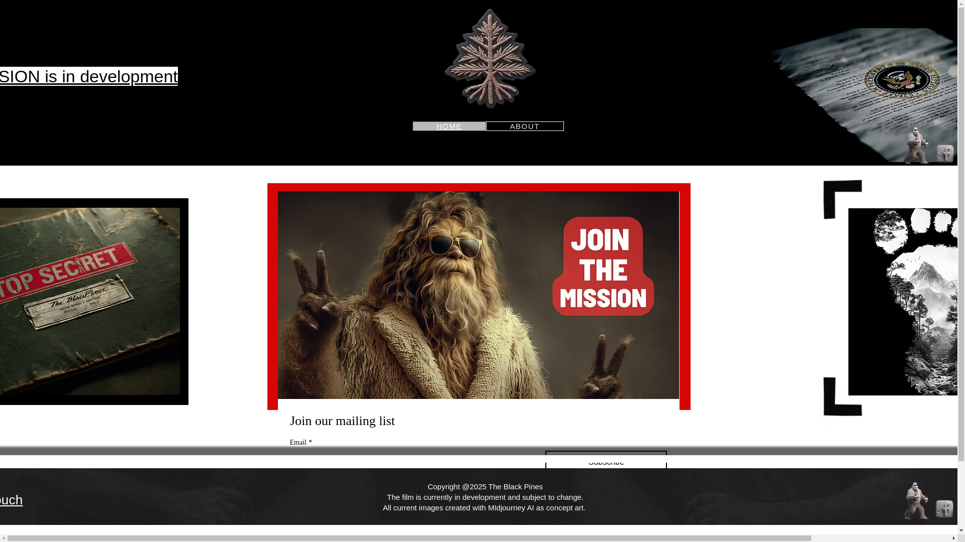 website screenshot of https://the-black-pines.com/