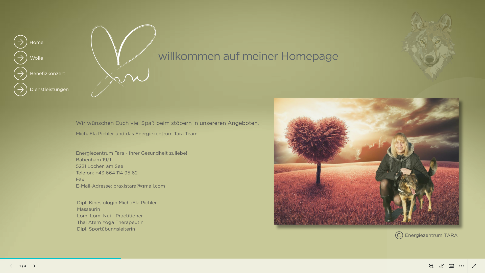 website screenshot of https://energiezentrumtara.com/