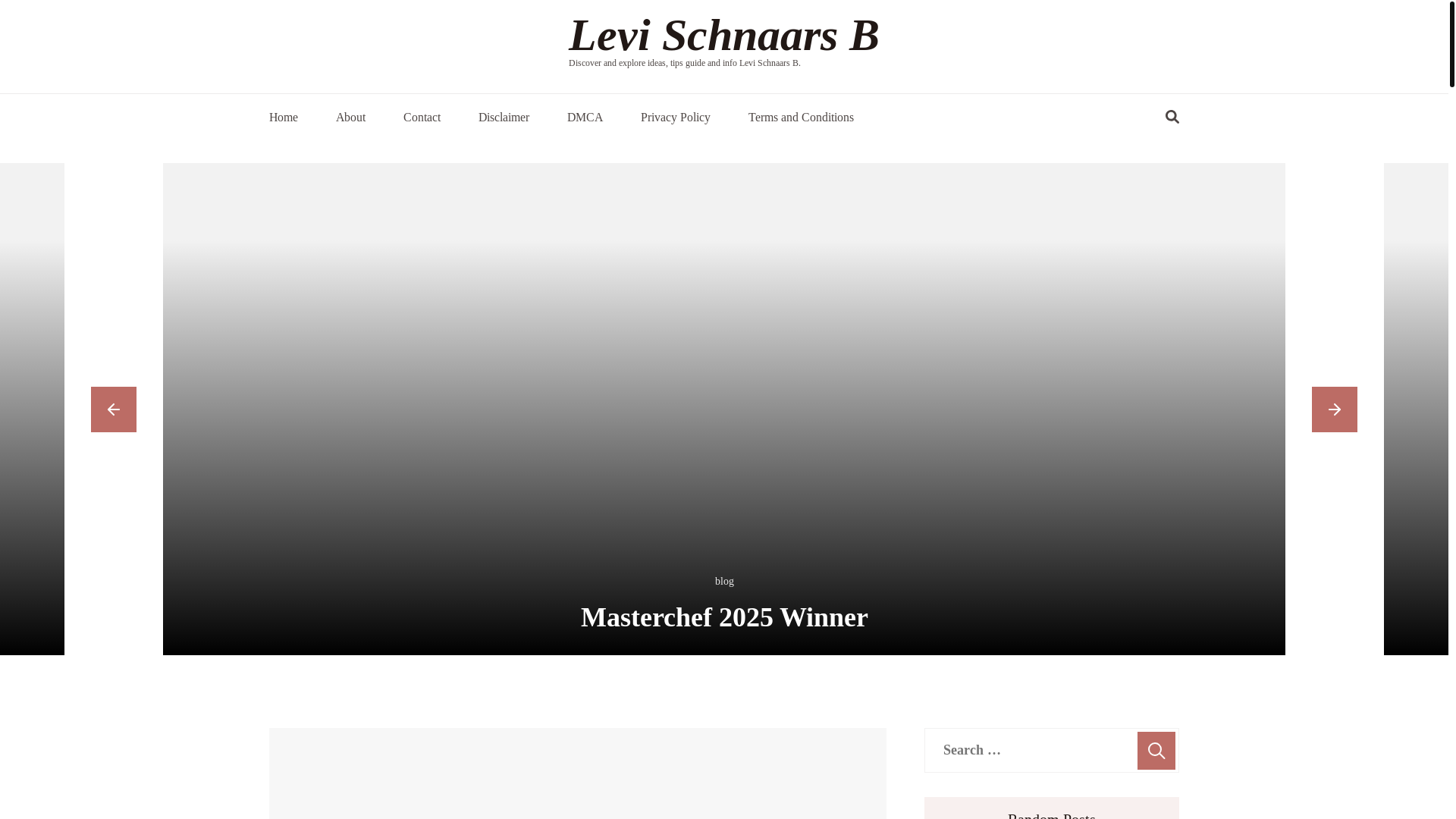 website screenshot of https://levischnaarsb.pages.dev/