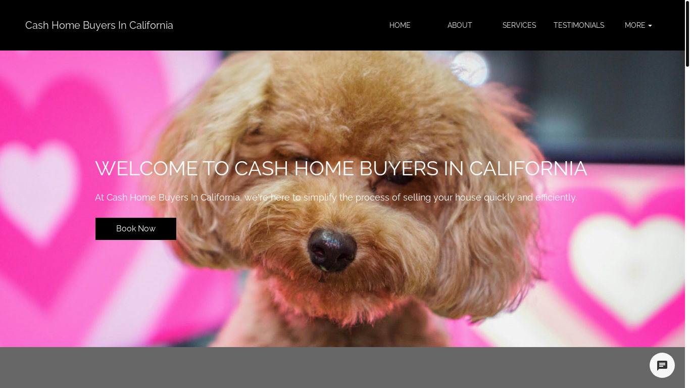 website screenshot of https://cashhomebuyersincalifornia.com/
