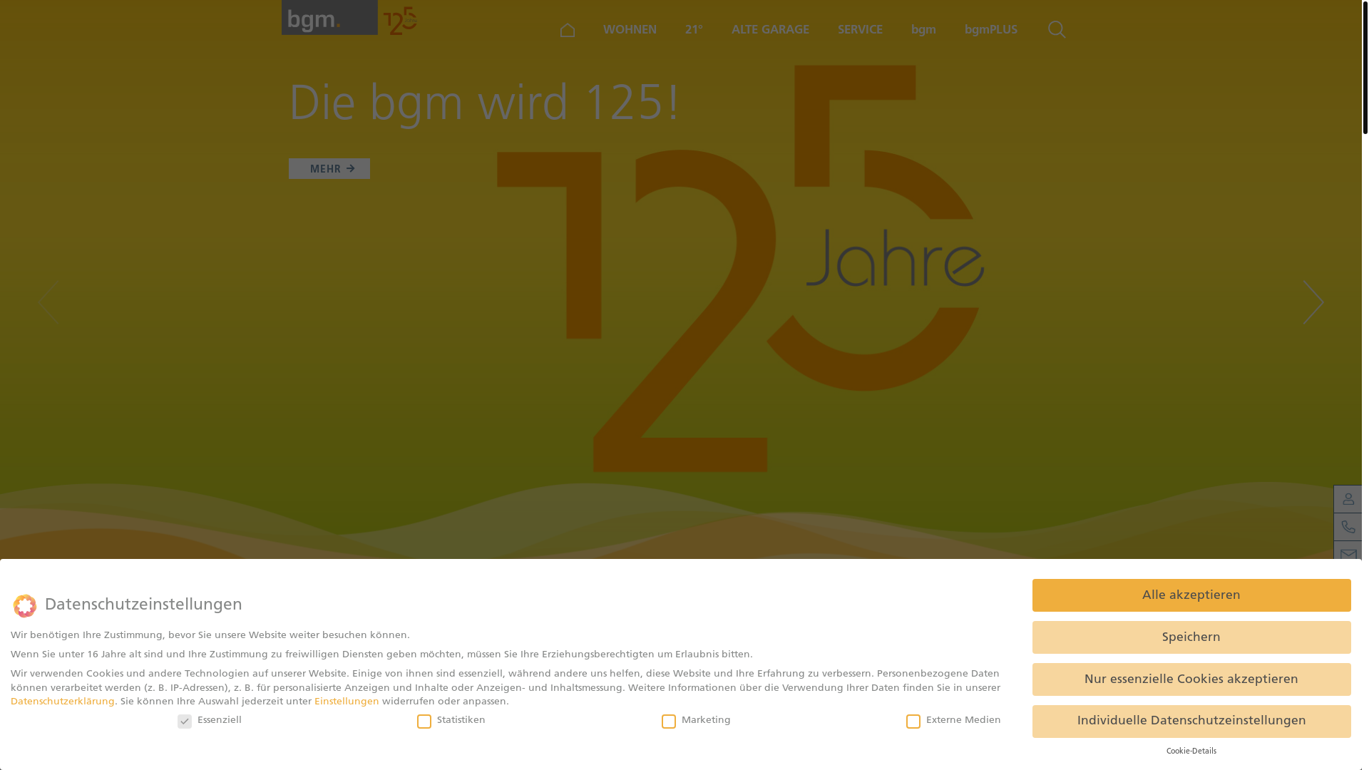 website screenshot of https://bgm-intern.de/