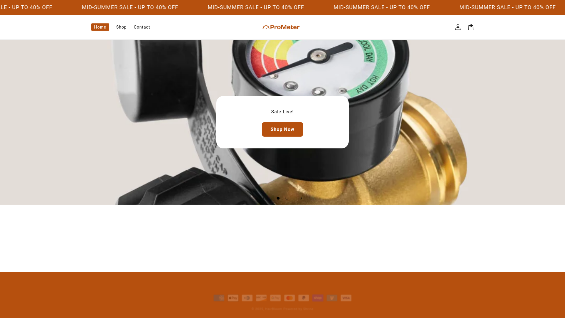 website screenshot of https://tryprometer.com/