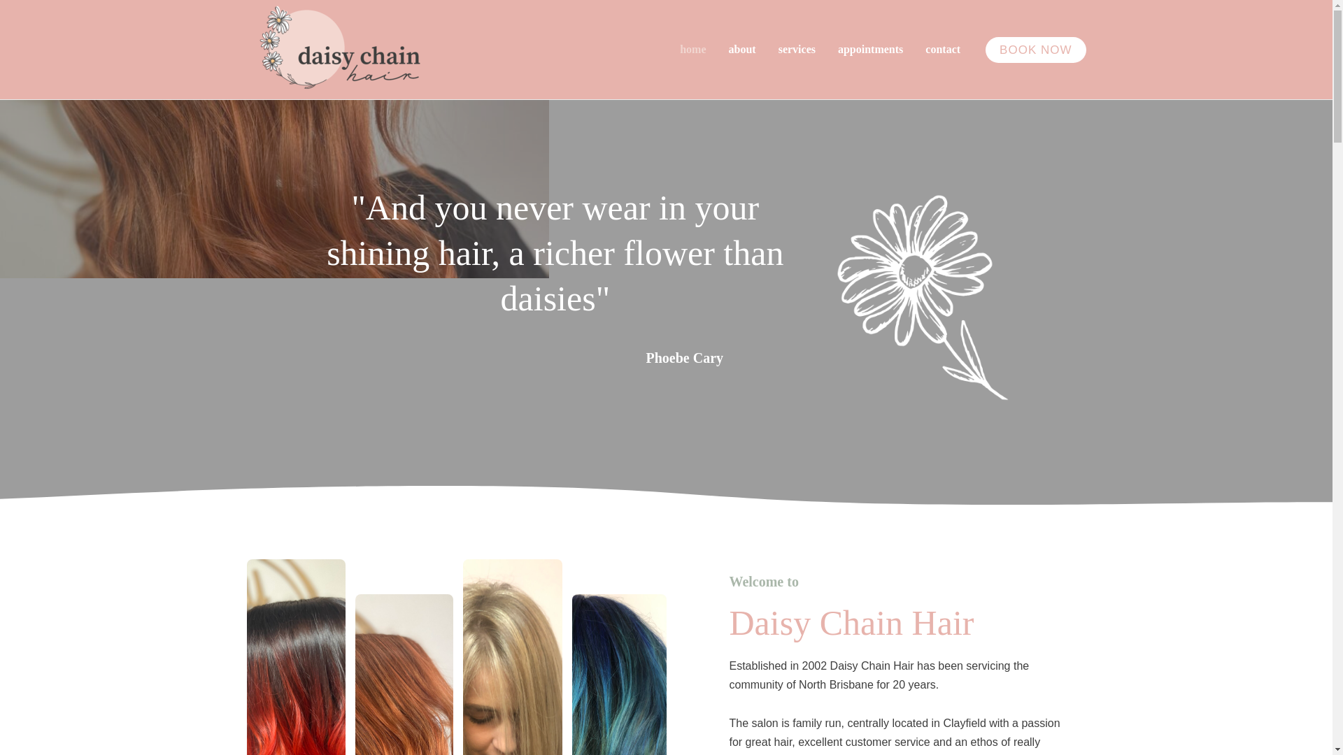 website screenshot of https://daisychainhair.online/