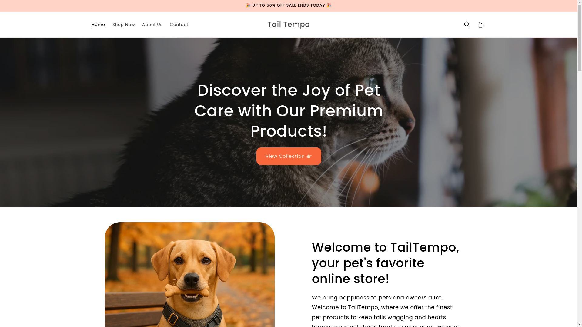 website screenshot of https://tailtempo.store/