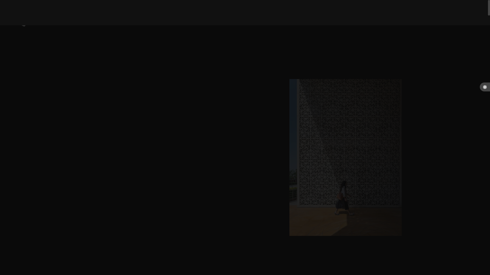 website screenshot of https://ashokatechconsulting.com/
