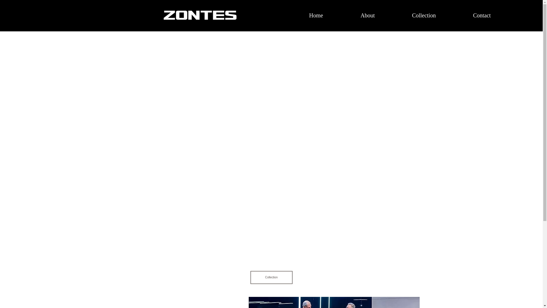website screenshot of https://zontesmalta.com/