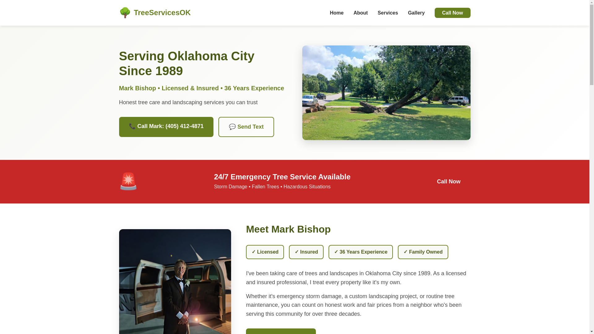 website screenshot of https://treeservicesokla.pages.dev/