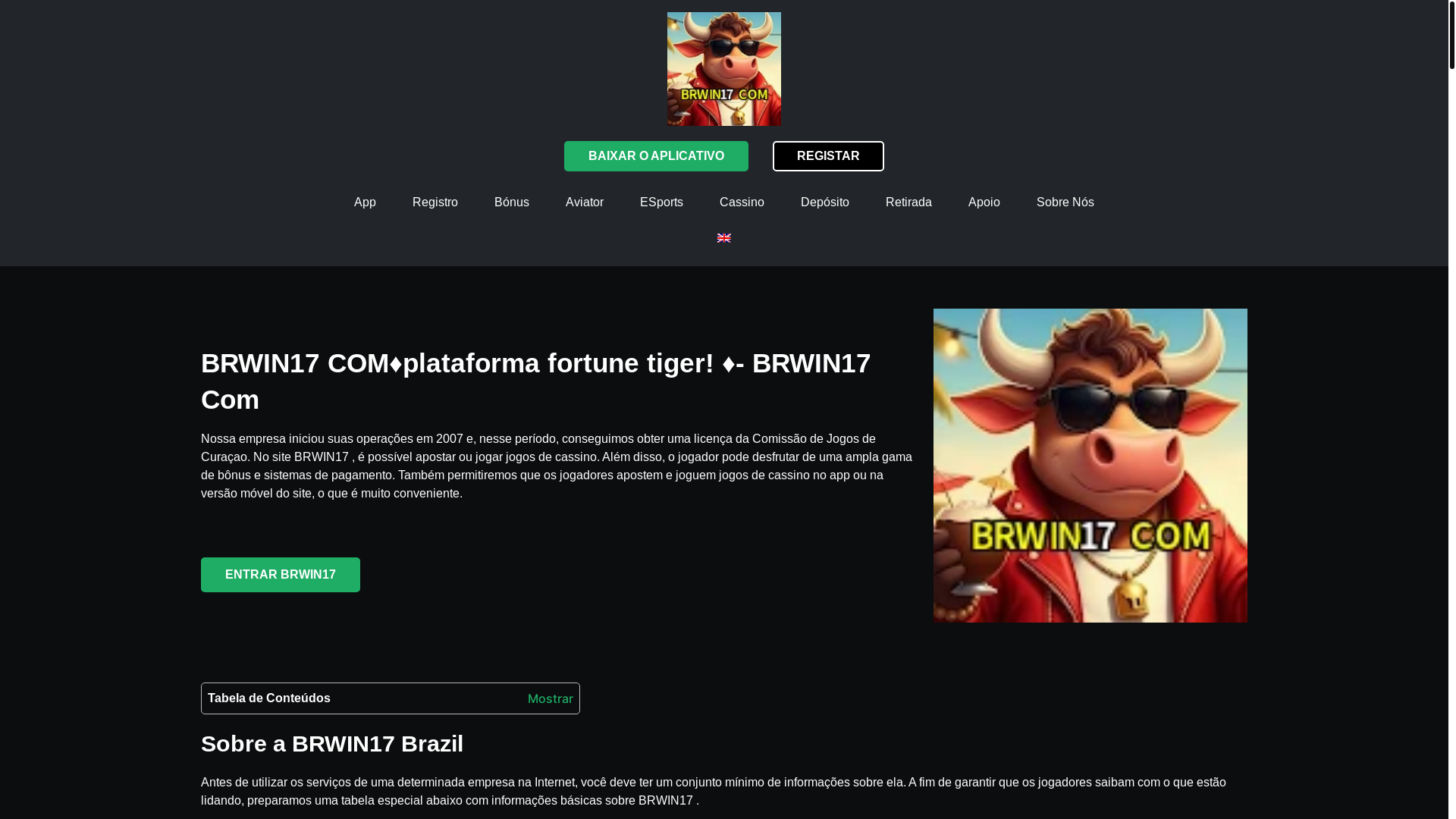 website screenshot of https://brwin17top.com/