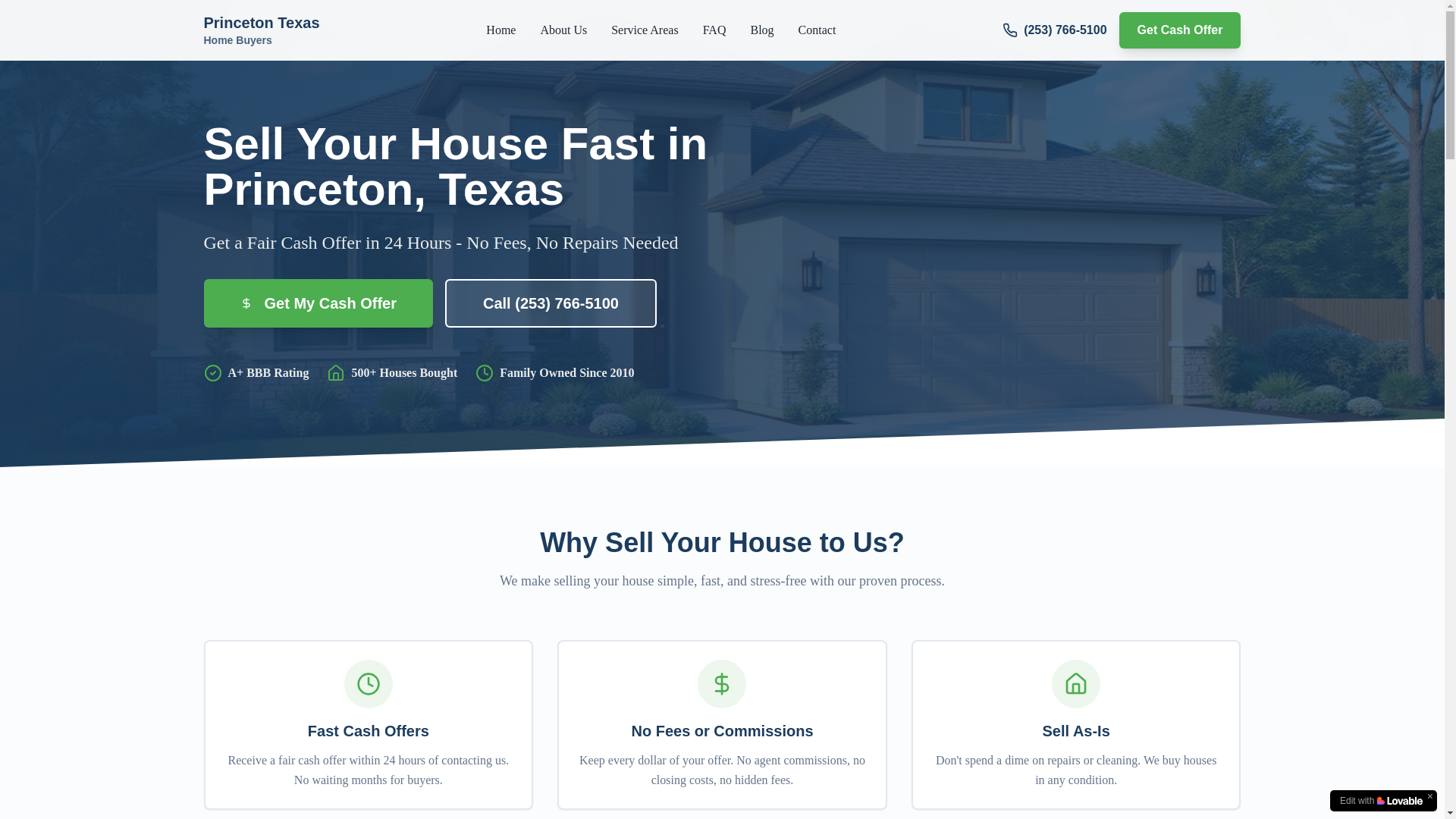website screenshot of https://sellmyhousefastprincetontexas.com/