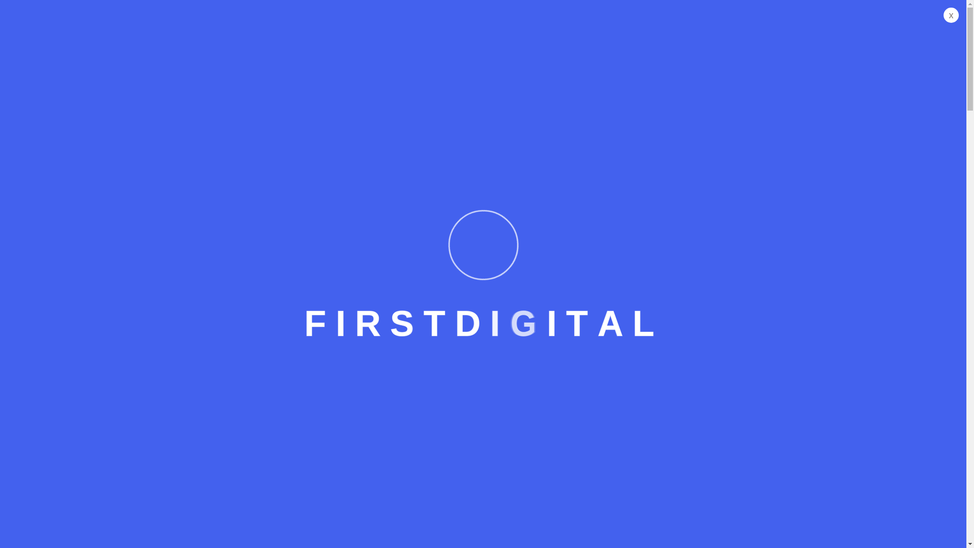 website screenshot of http://www.firstdigitalunion.com