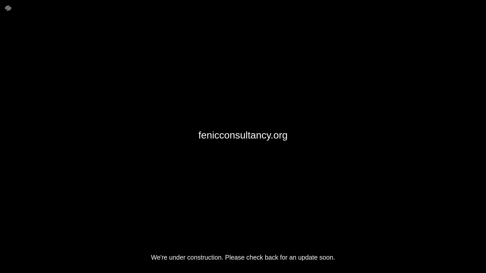 website screenshot of https://fenicconsultancy.org/