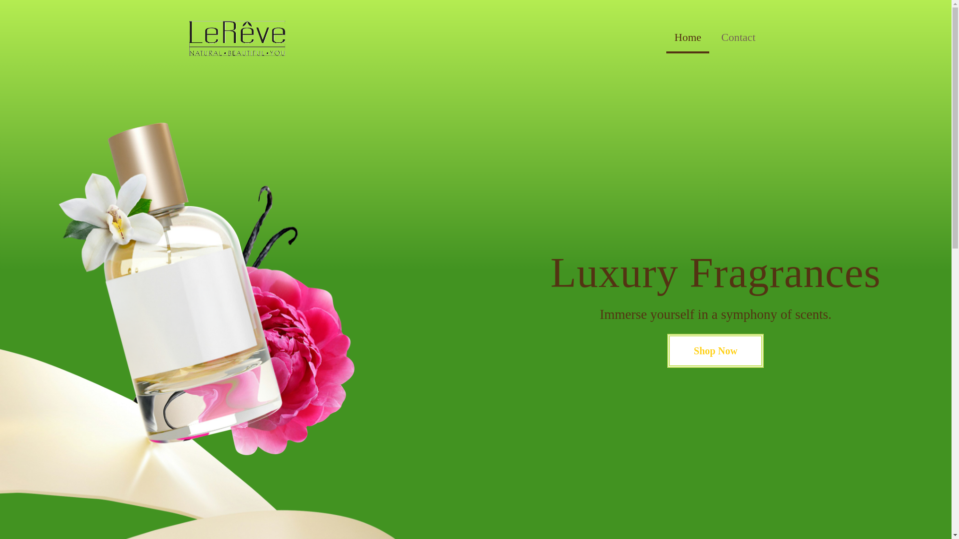 website screenshot of https://lerevevfstore.com/