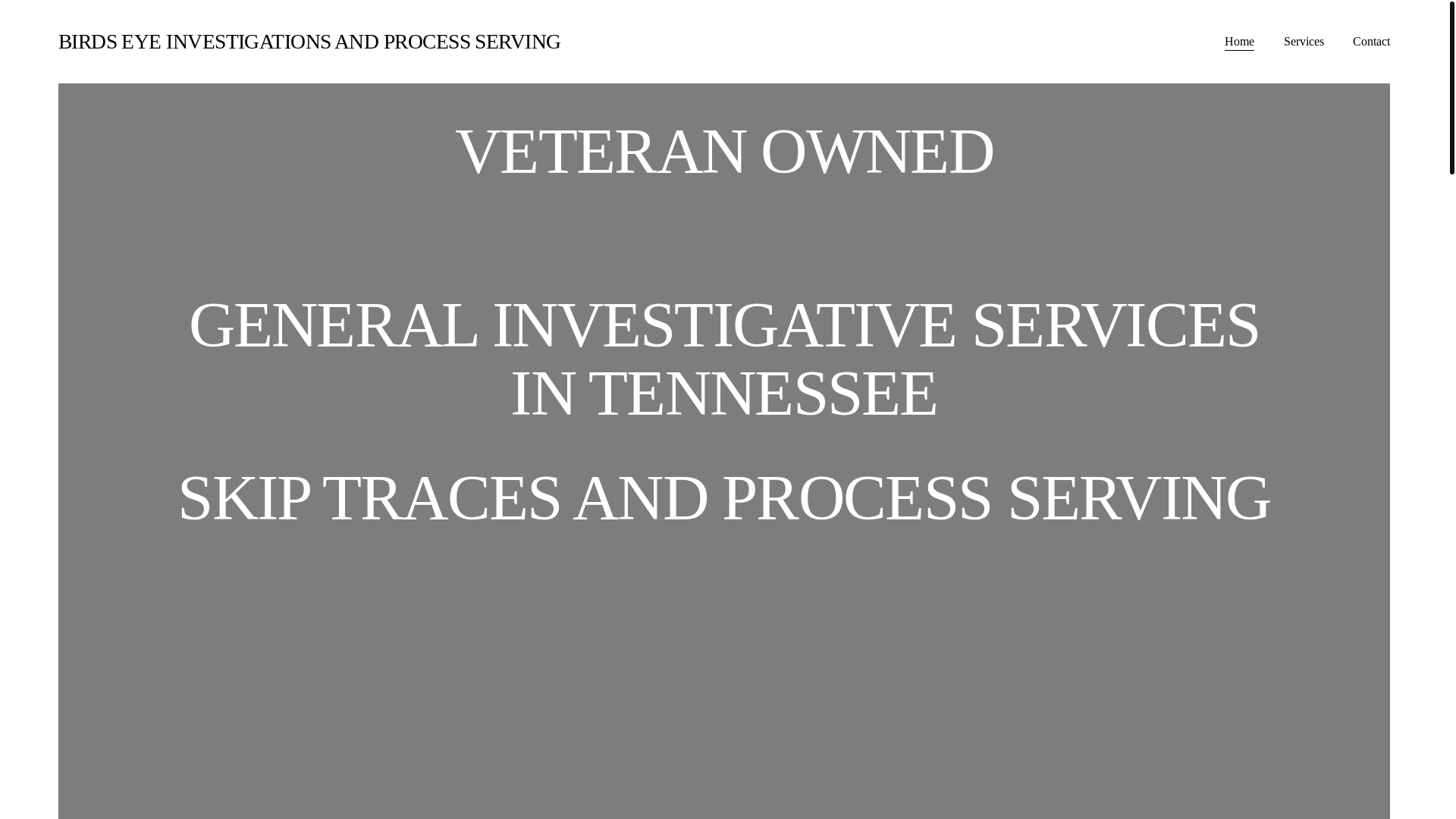 website screenshot of https://birdseyeinvestigationsandprocessserving.com/