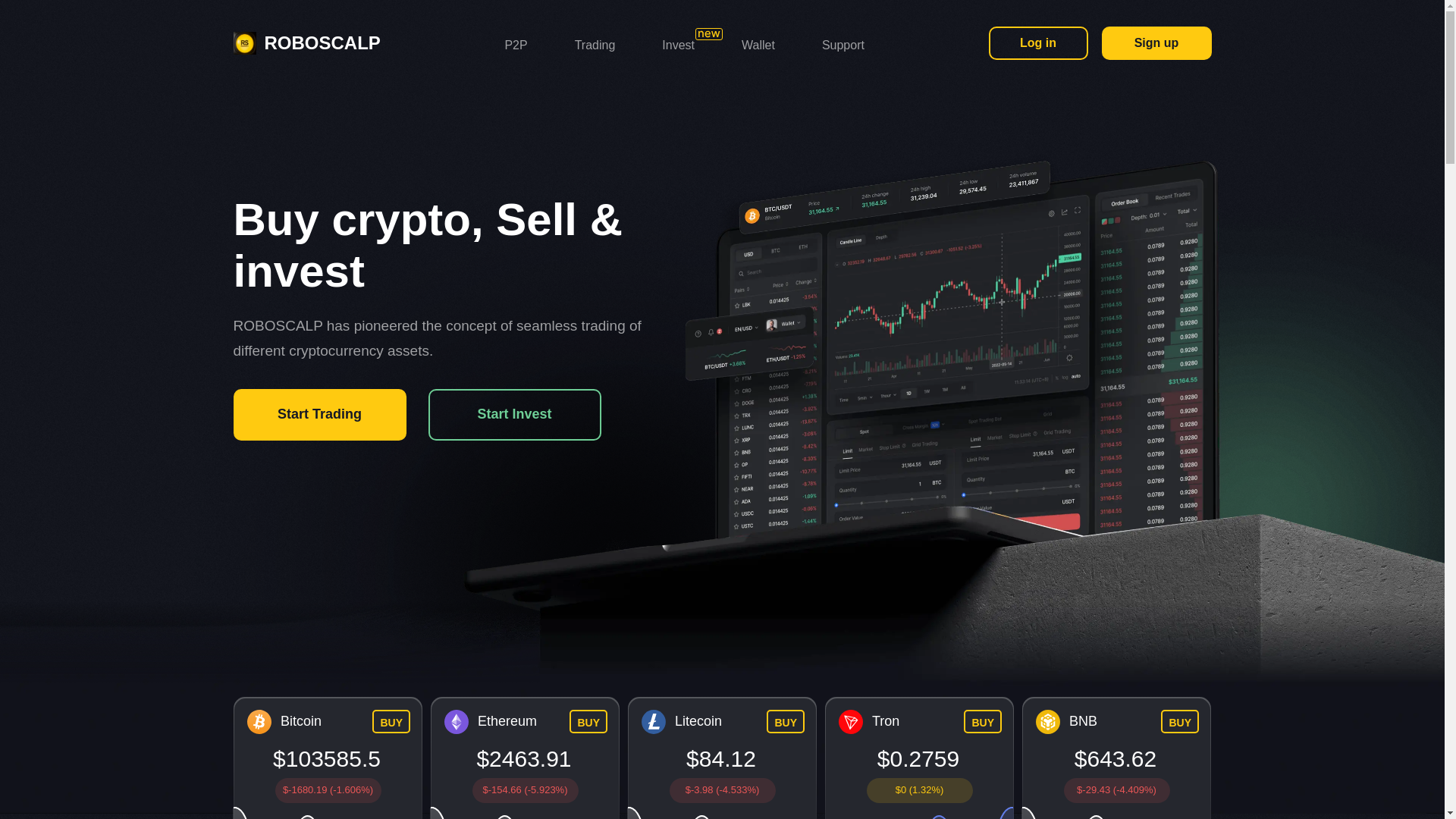 website screenshot of https://roboscalp.pro/