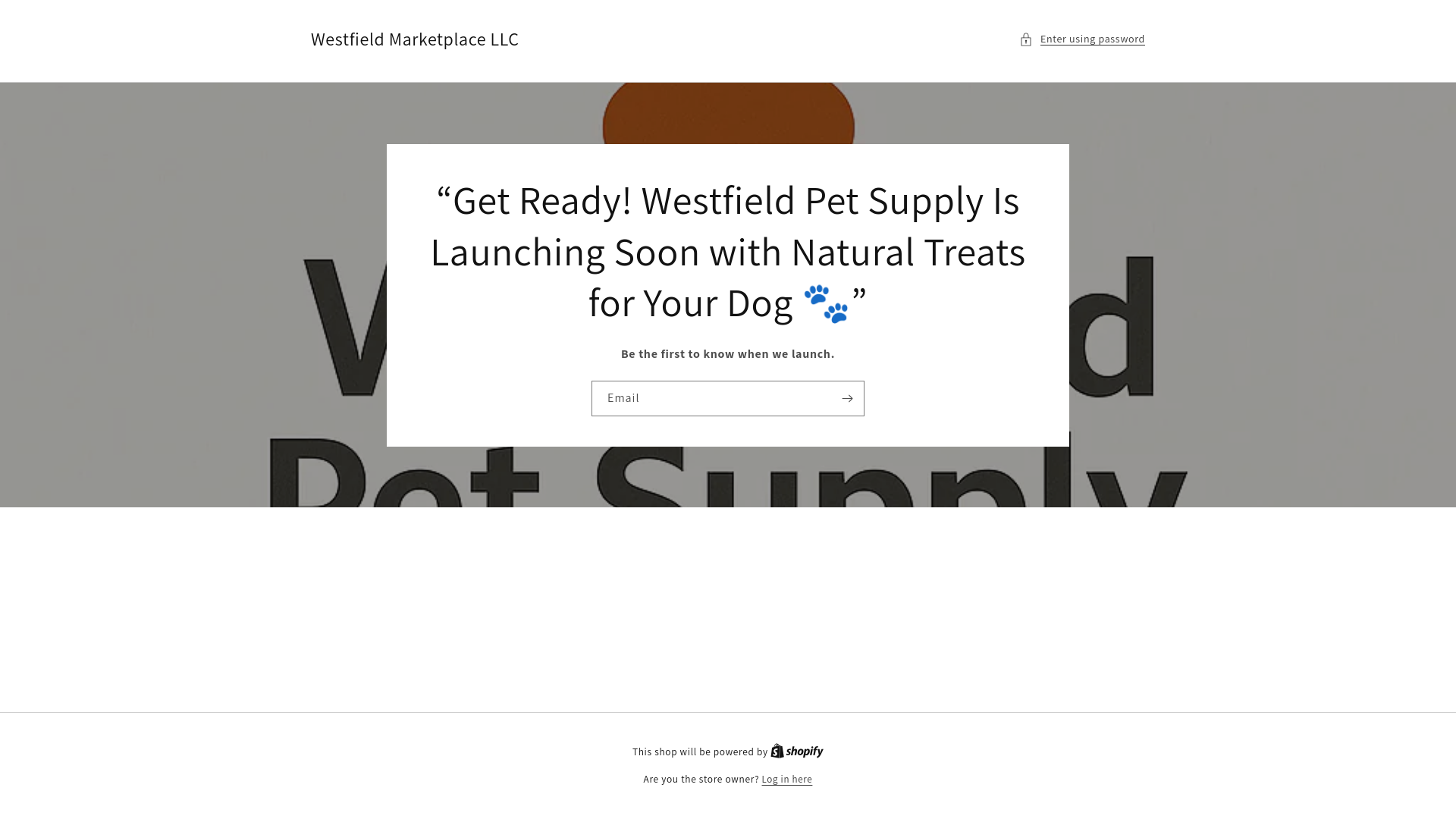 website screenshot of https://westfieldmarketplace.org/