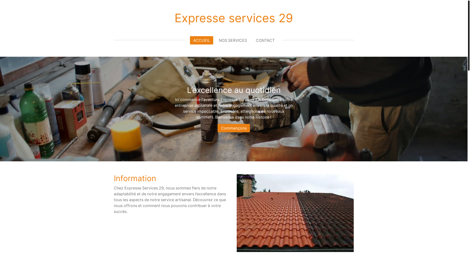 website screenshot of https://expresseservices29.com/