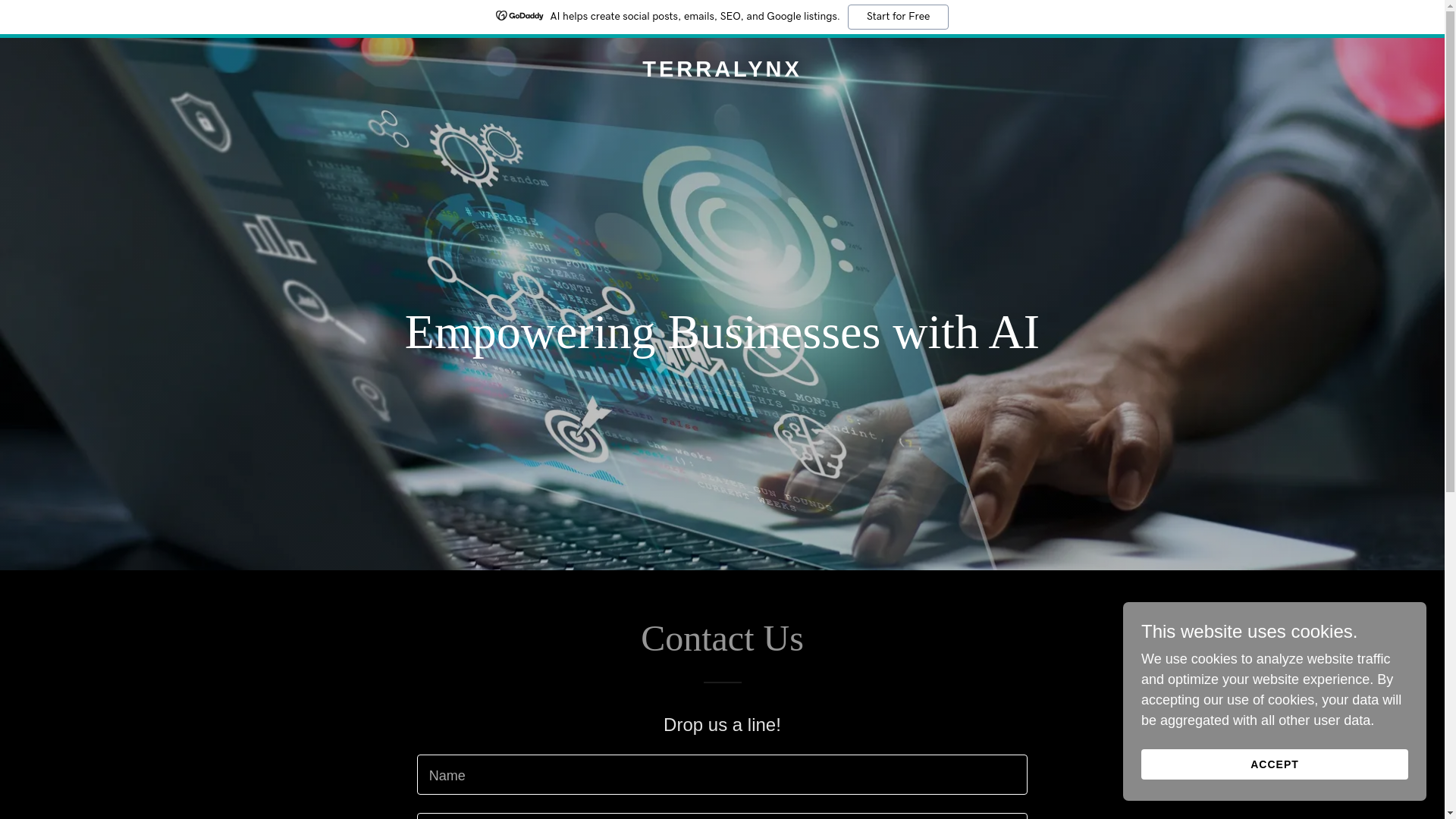 website screenshot of https://terralynx.tech/