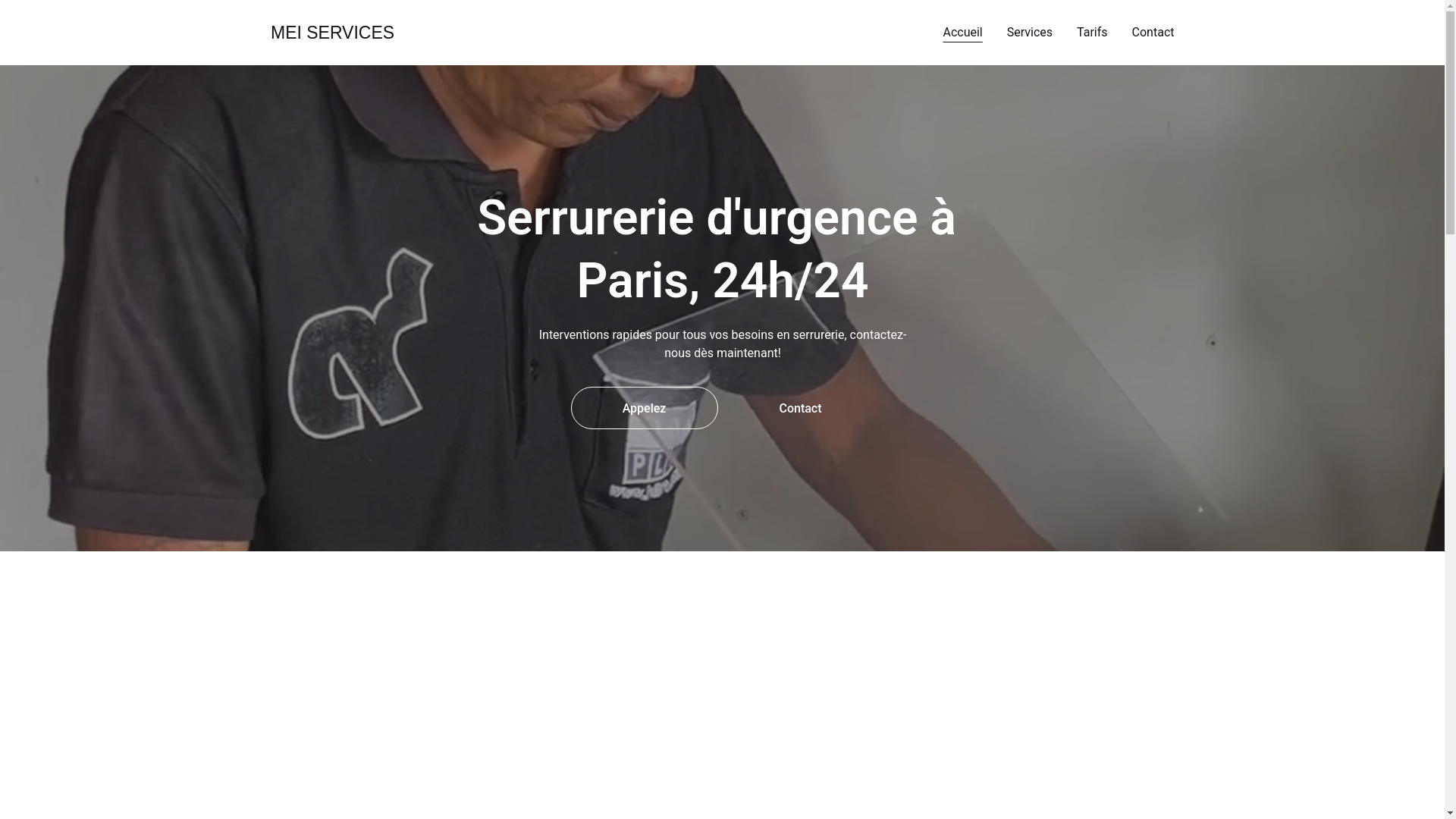 website screenshot of https://mei-service.fr/