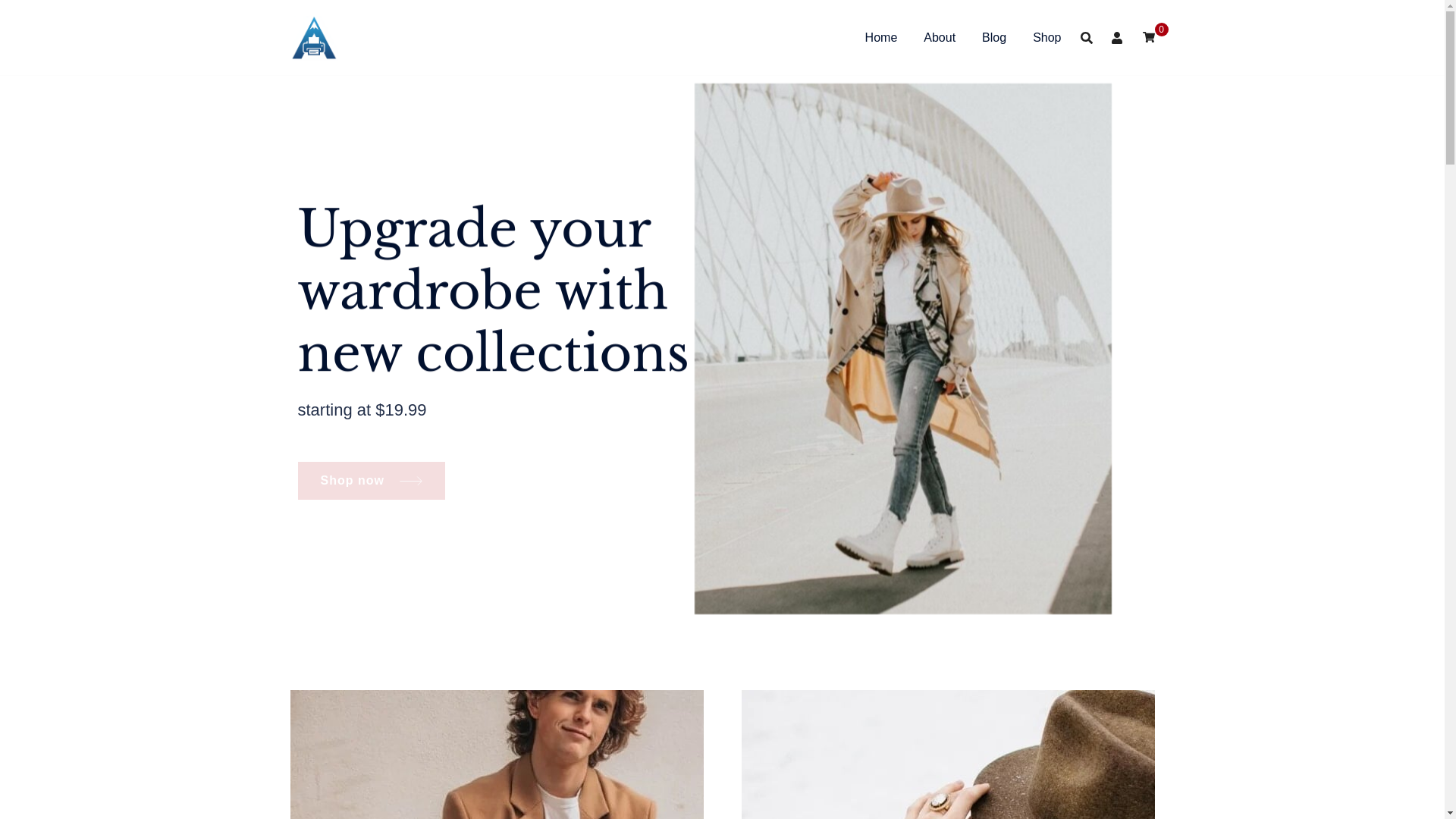 website screenshot of https://theapexprinters.xyz/