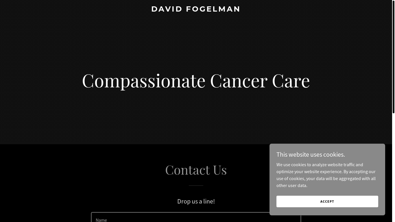 website screenshot of https://davidfogelman.com/