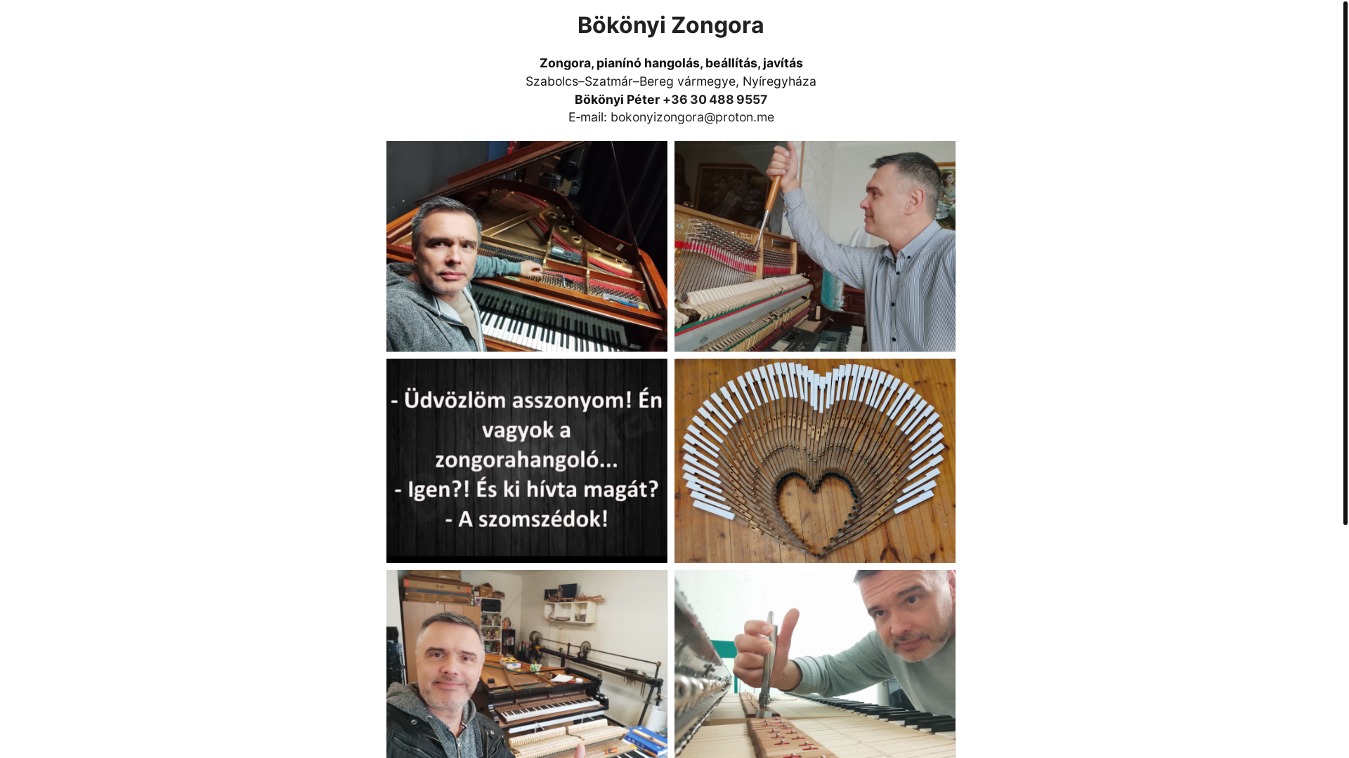 website screenshot of https://bokonyizongora.hu/
