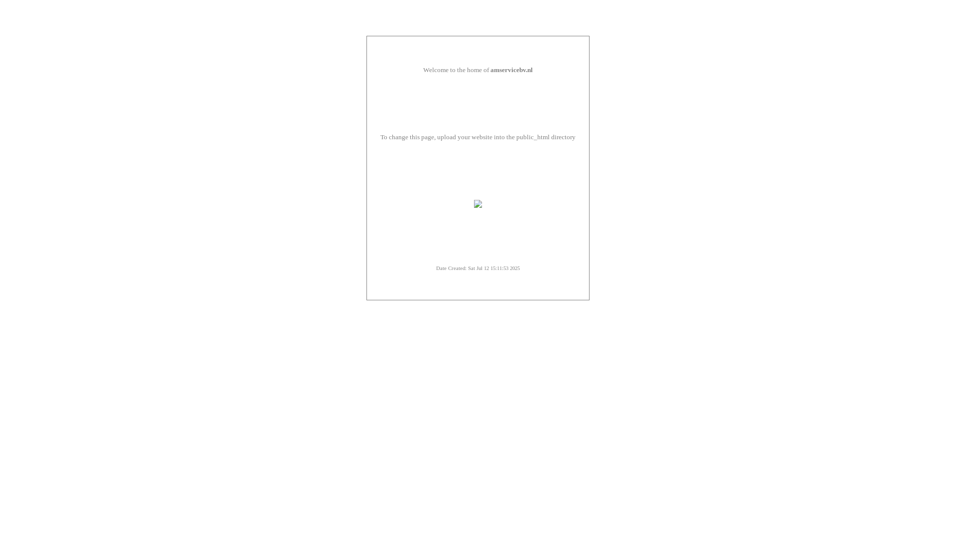 website screenshot of https://amservicebv.nl/