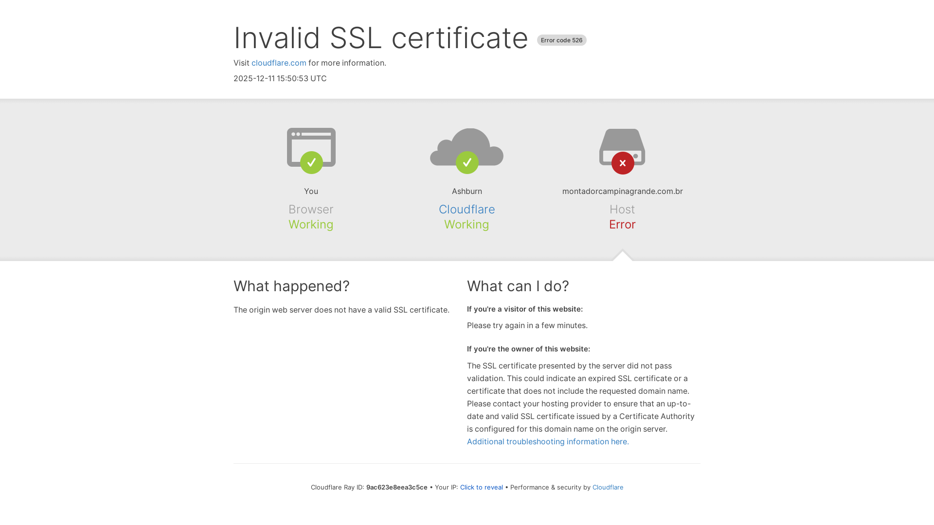 website screenshot of https://montadorcampinagrande.com.br/