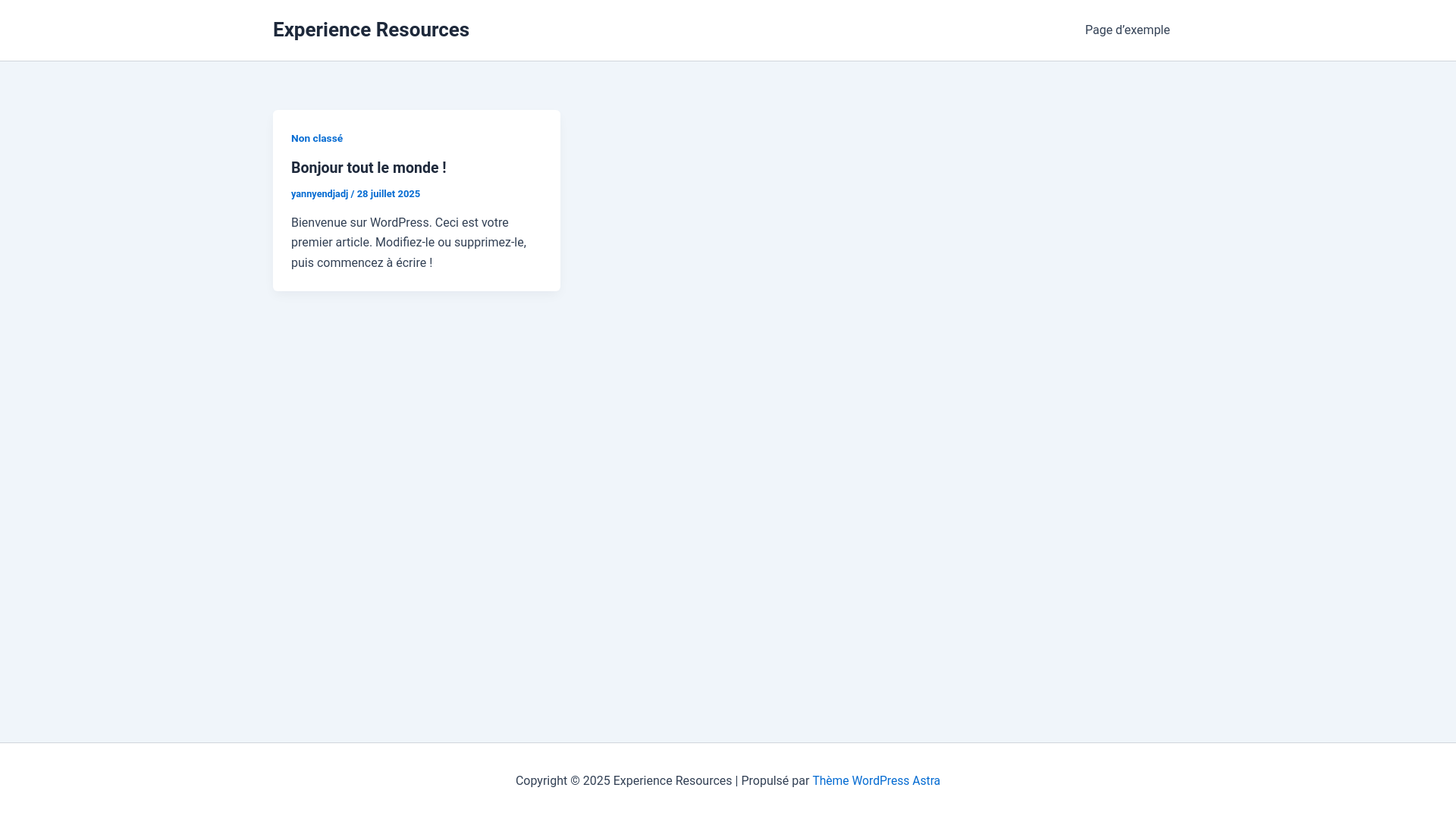 website screenshot of https://experience-resources.com/