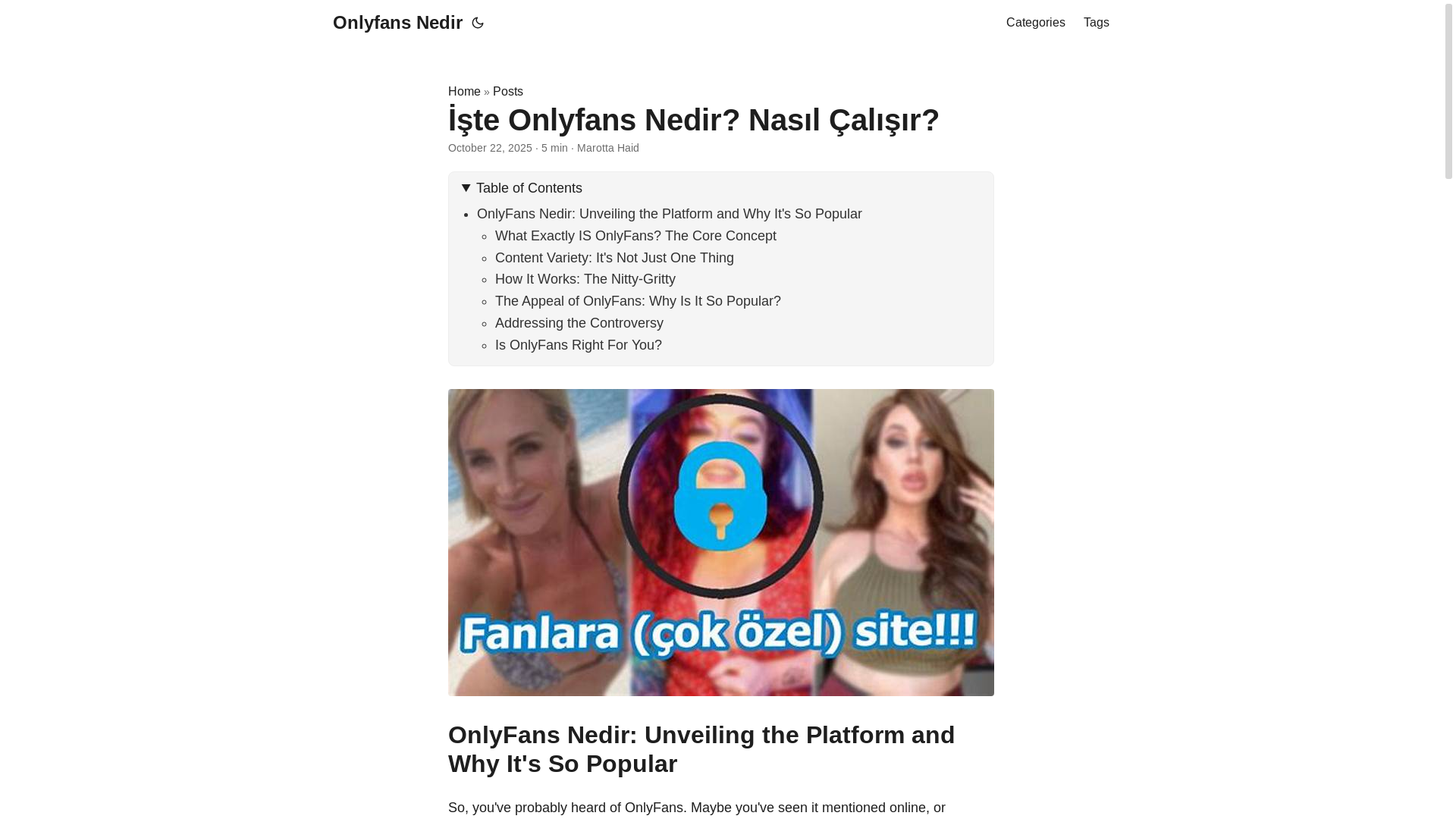 website screenshot of https://onlyfans-nedir.pages.dev/