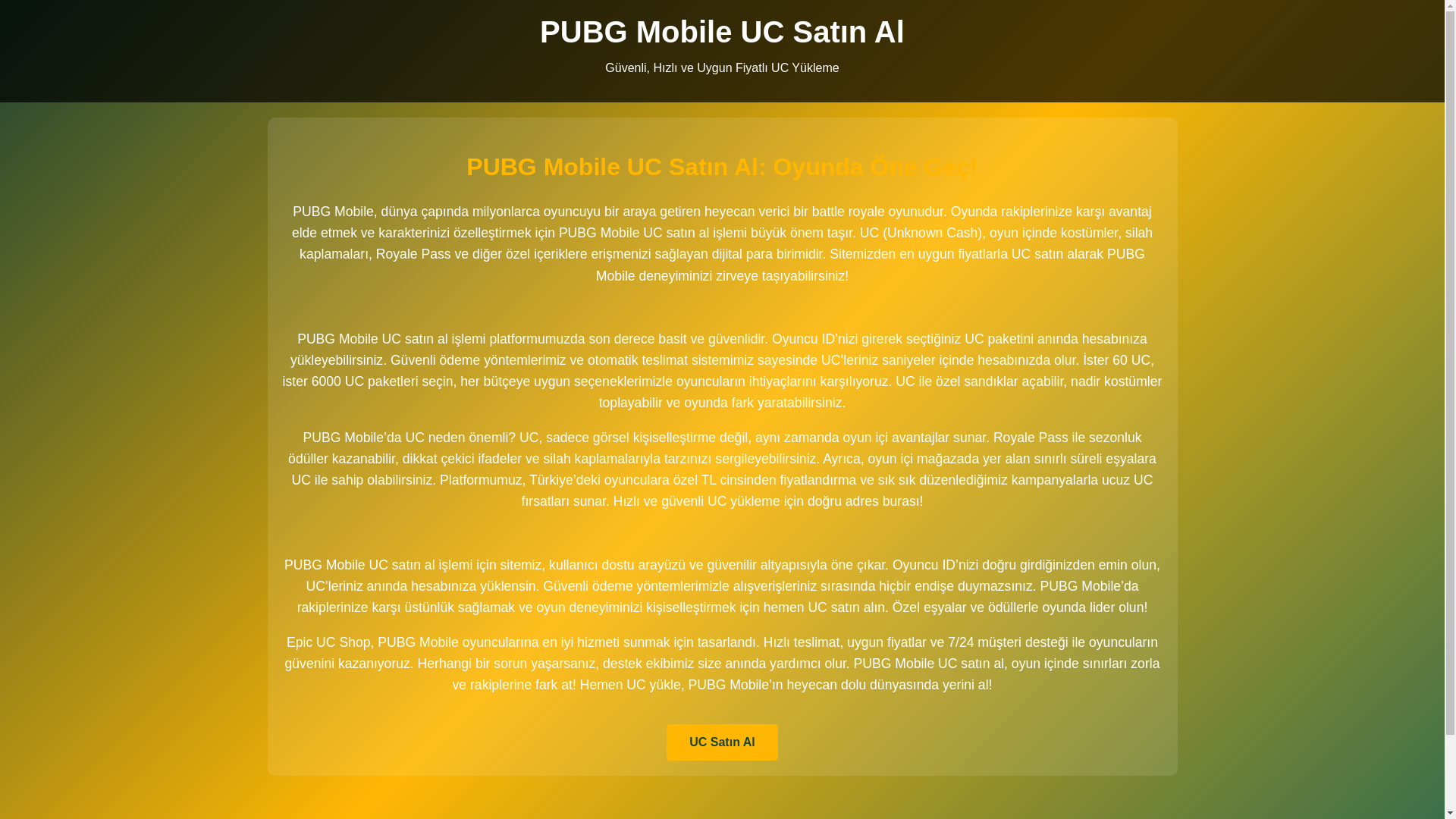 website screenshot of https://pubguccepte.com.tr/