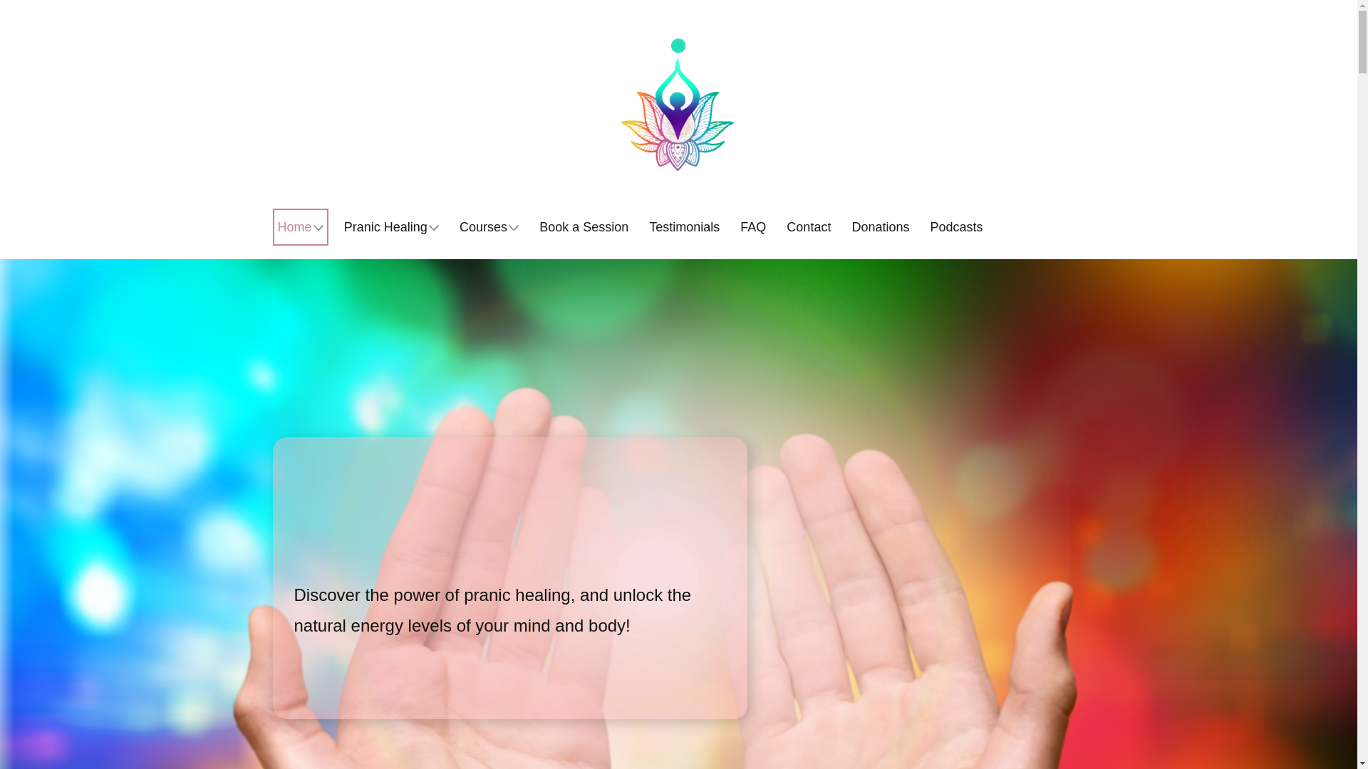 website screenshot of https://pranichealingnsb.pages.dev/